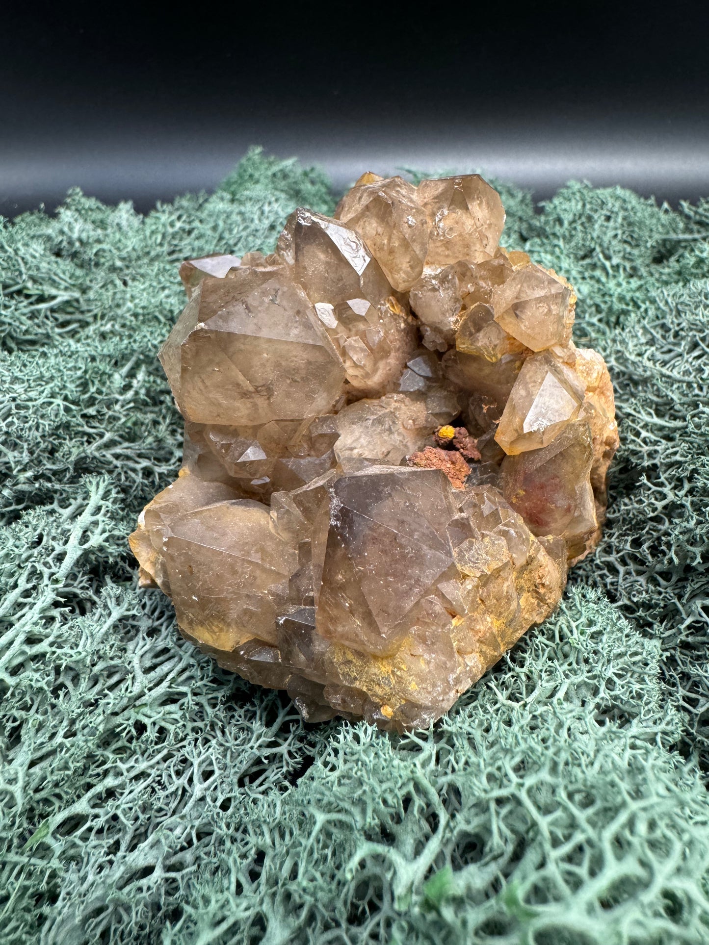 Citrin Handstufe aus Kunduluni, Kongo (554g) - schöne dunkle Kristallspitzen - crystal paradise