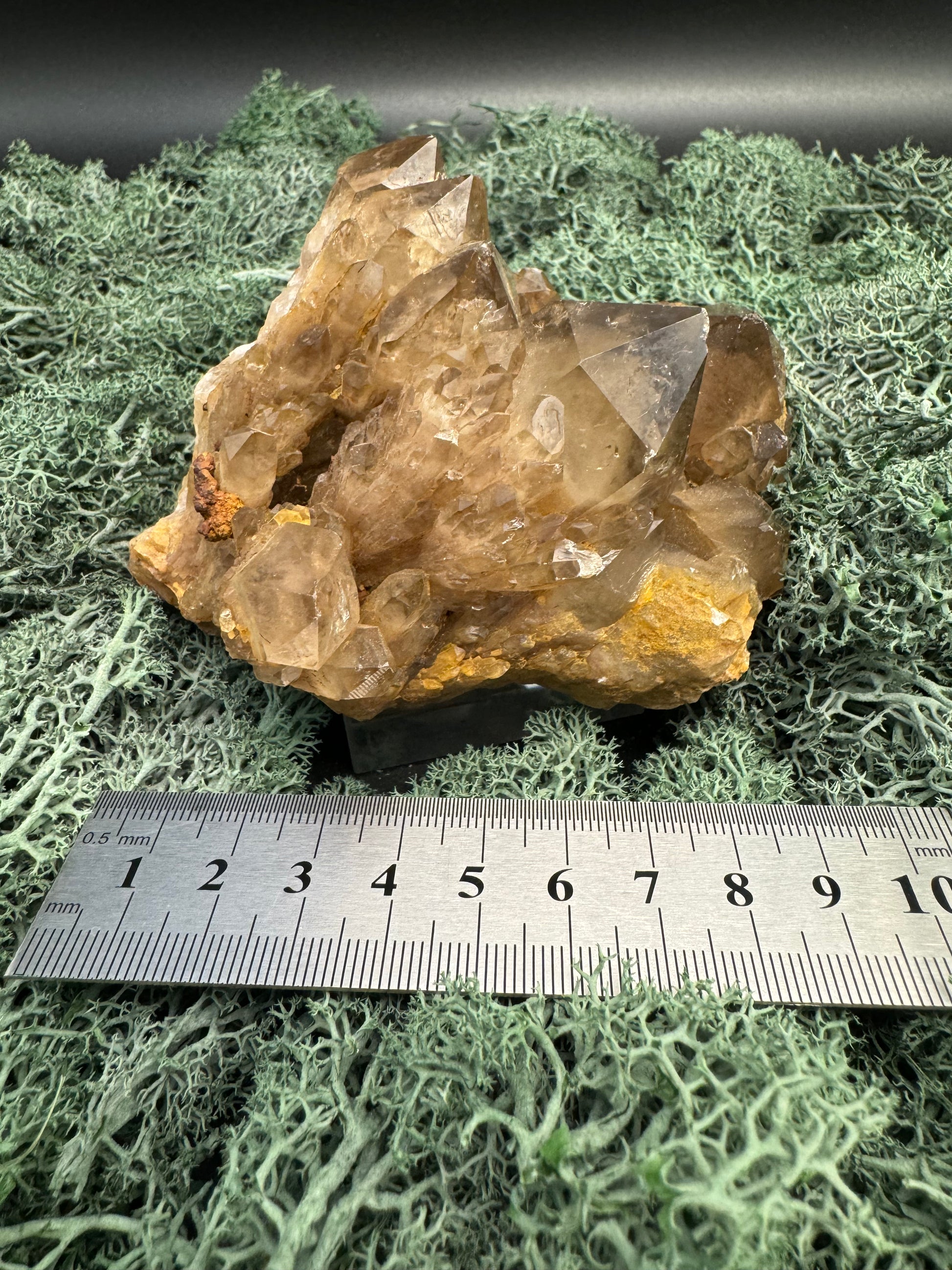 Citrin Handstufe aus Kunduluni, Kongo (554g) - schöne dunkle Kristallspitzen - crystal paradise