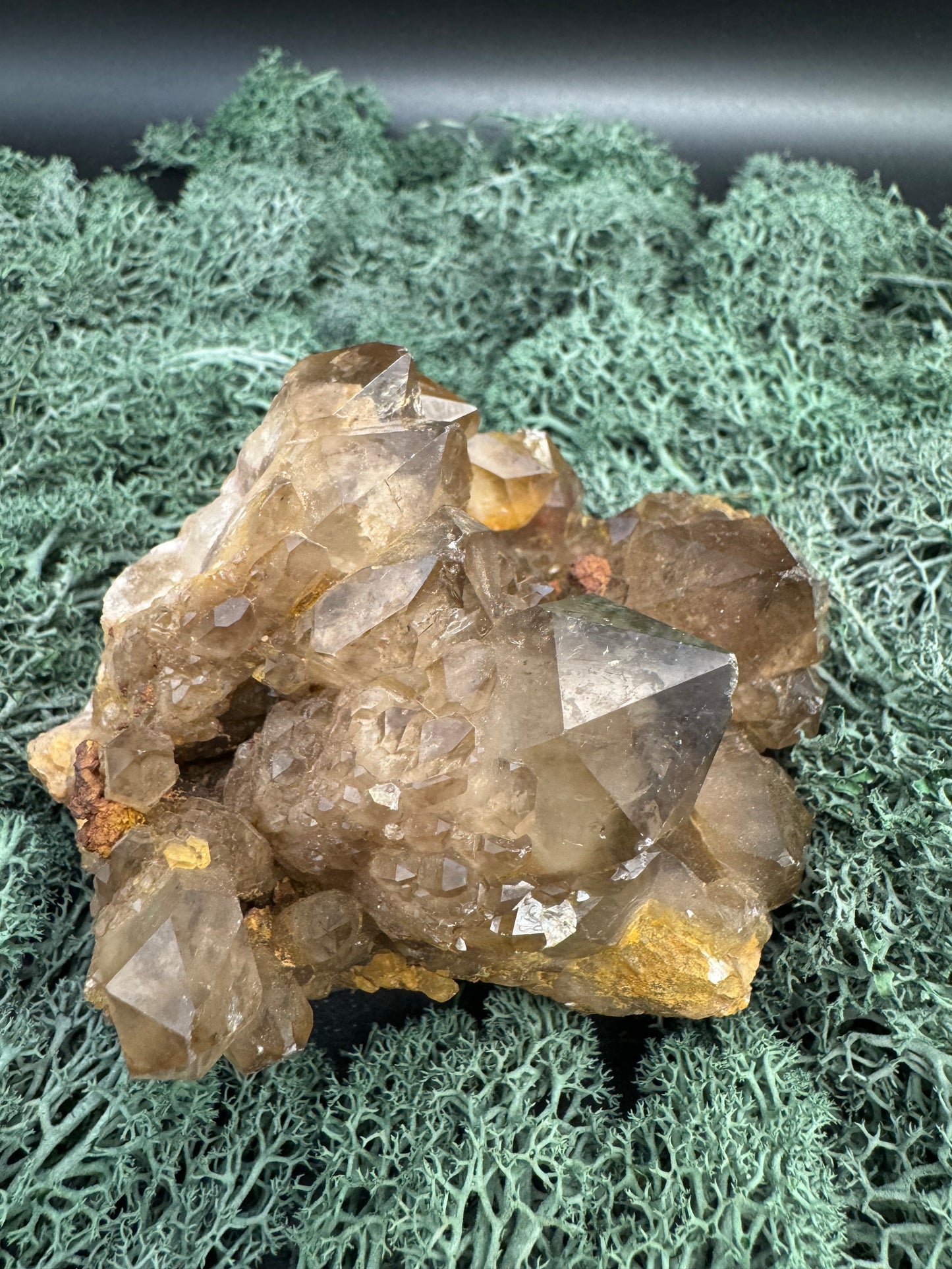 Citrin Handstufe aus Kunduluni, Kongo (554g) - schöne dunkle Kristallspitzen - crystal paradise