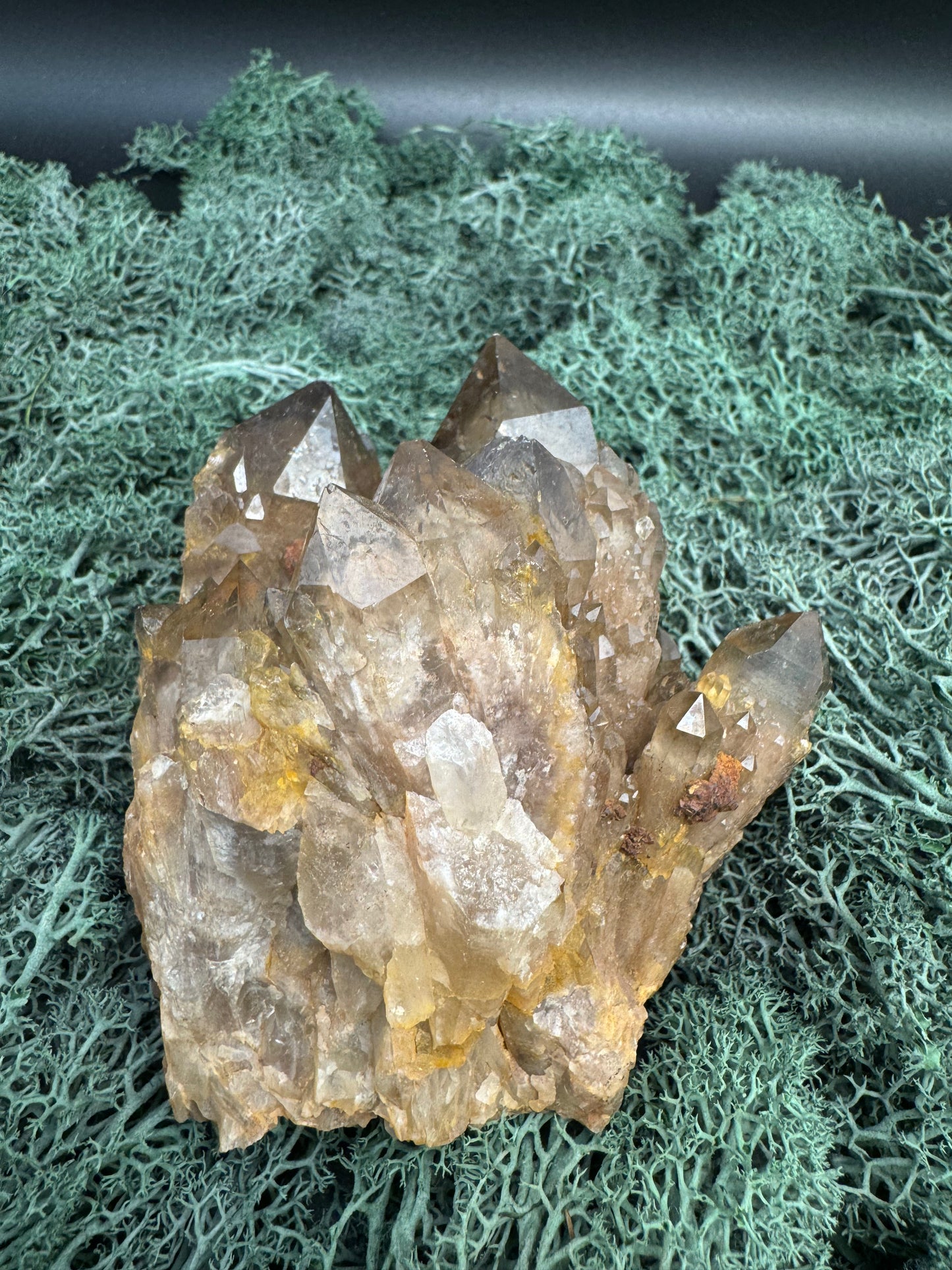 Citrin Handstufe aus Kunduluni, Kongo (554g) - schöne dunkle Kristallspitzen - crystal paradise