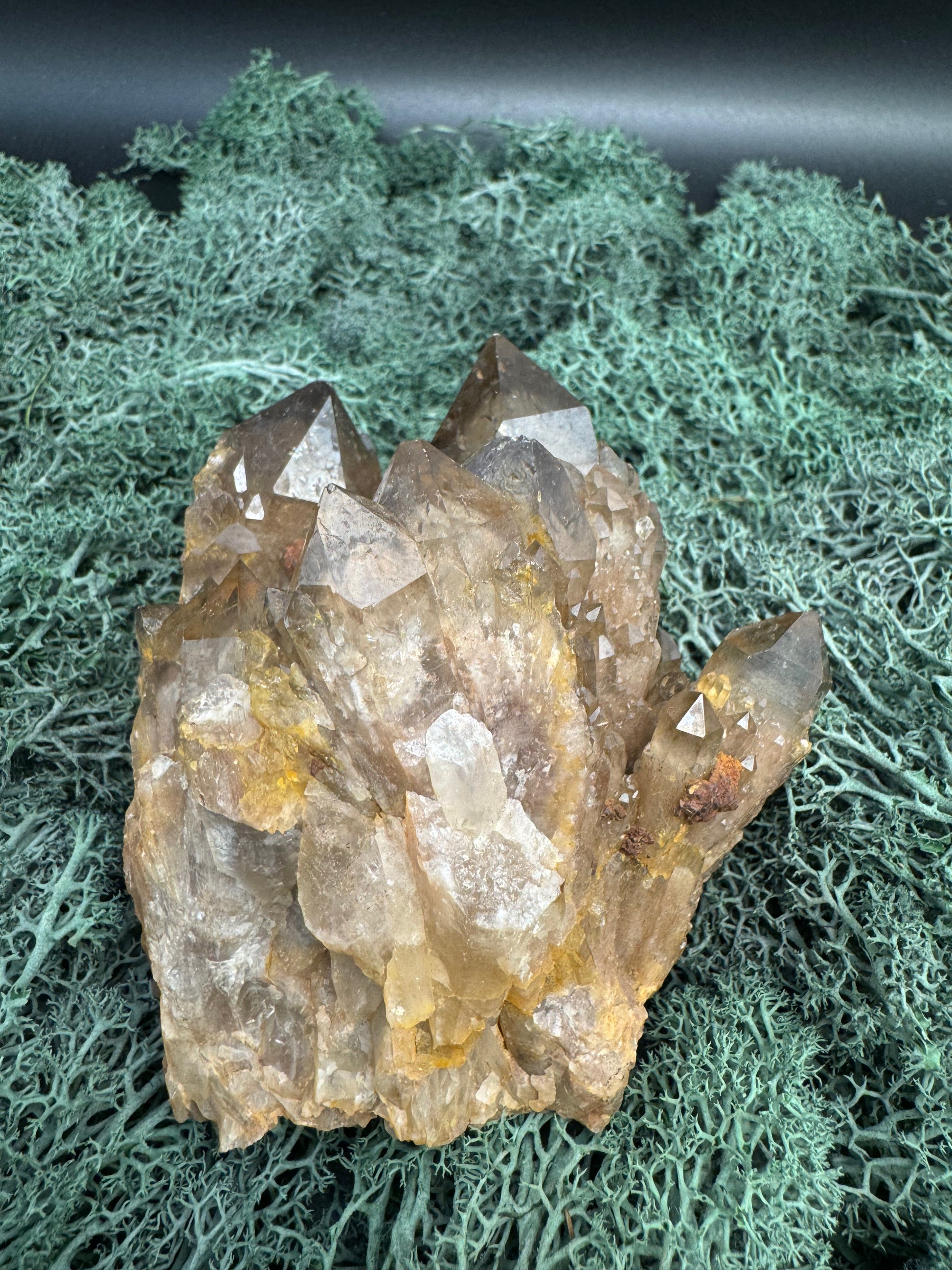 Citrin Handstufe aus Kunduluni, Kongo (554g) - schöne dunkle Kristallspitzen - crystal paradise