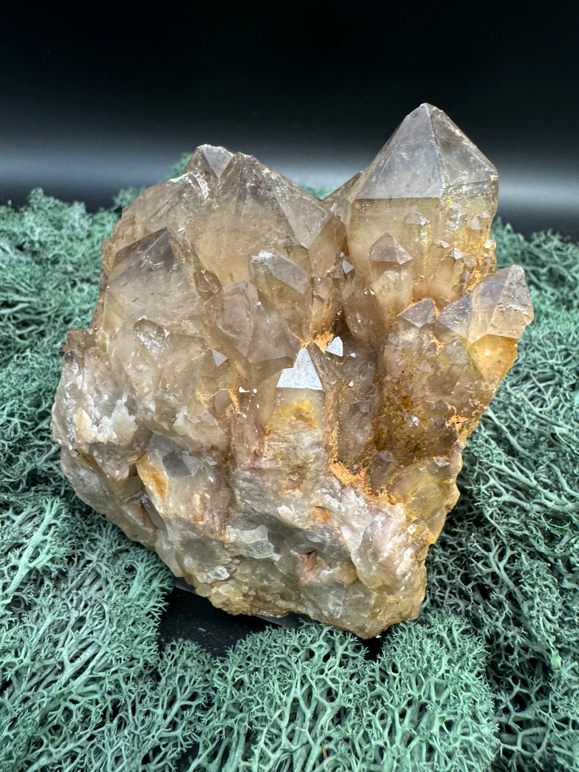 Citrin Handstufe aus Kunduluni, Kongo (881g) - schöne Kristallspitzen - crystal paradise