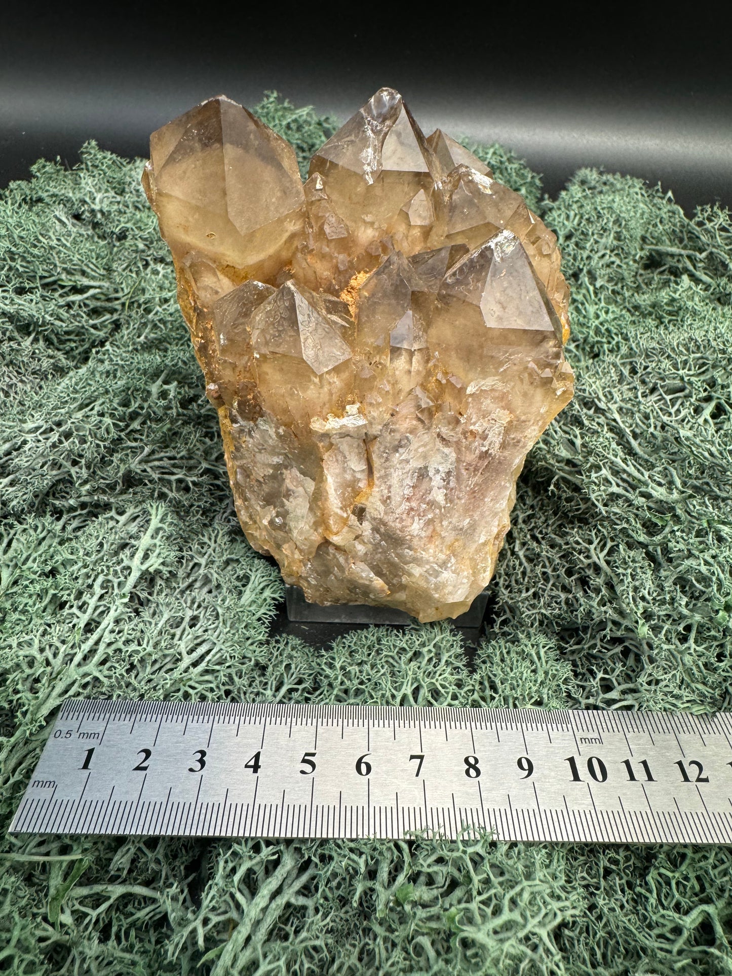 Citrin Handstufe aus Kunduluni, Kongo (881g) - schöne Kristallspitzen - crystal paradise