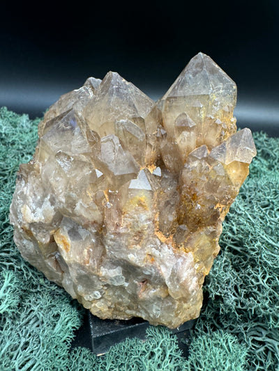 Citrin Handstufe aus Kunduluni, Kongo (881g) - schöne Kristallspitzen - crystal paradise