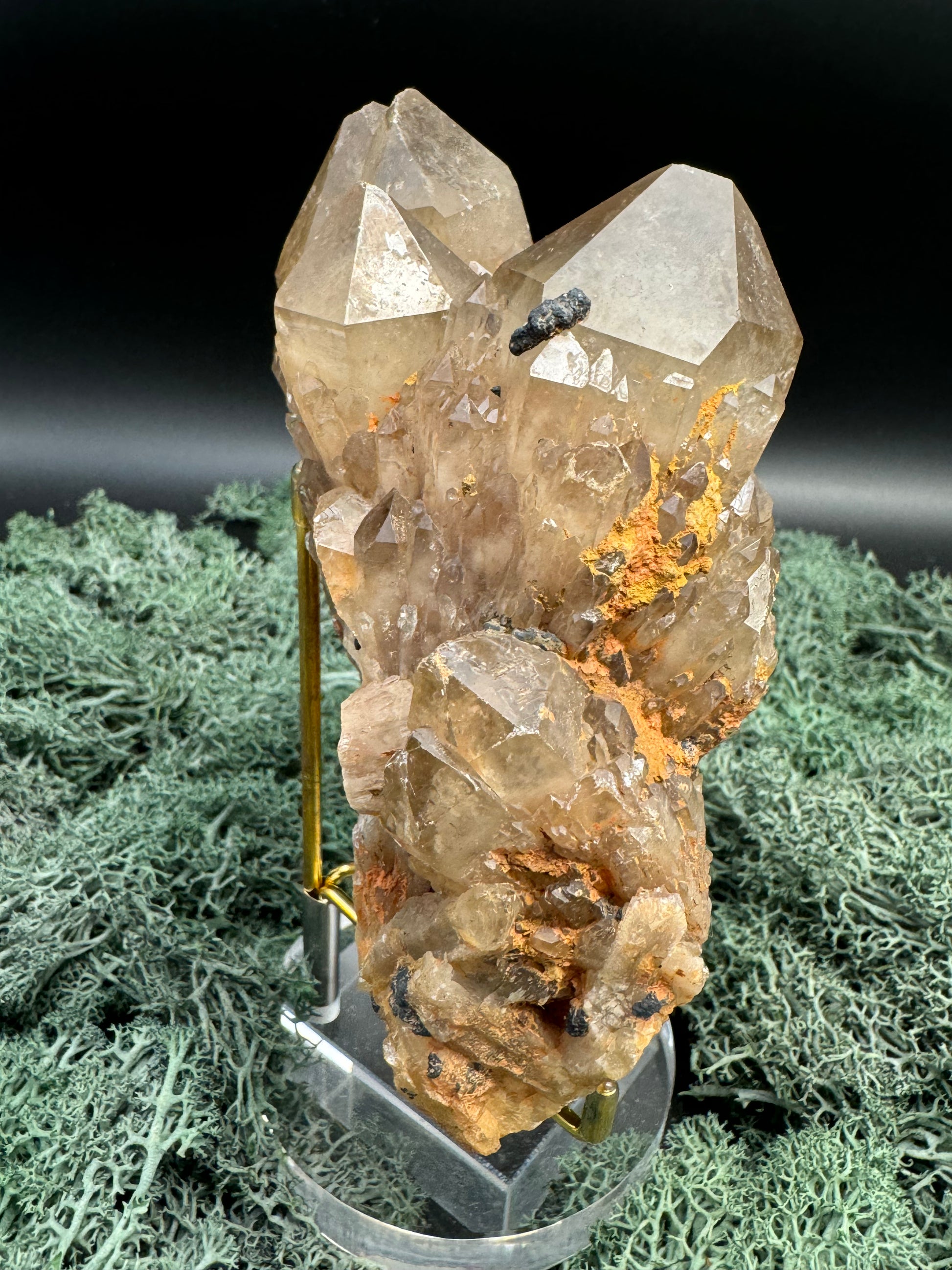 Citrin Handstufe aus Kunduluni, Kongo (728g) - schöne große Kristalle - crystal paradise