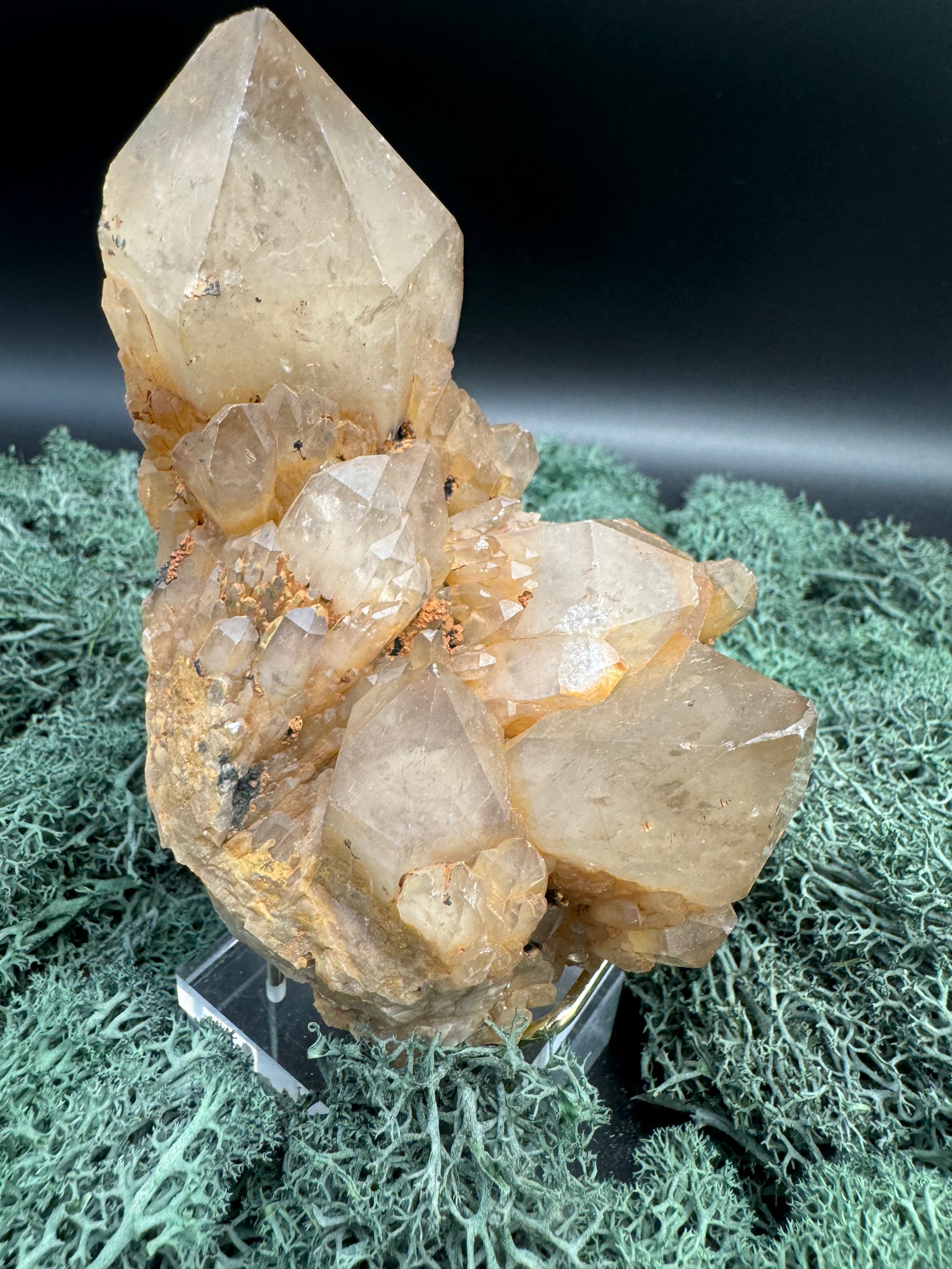 Citrin Handstufe aus Kunduluni, Kongo (468g) - schöne große Kristalle - crystal paradise