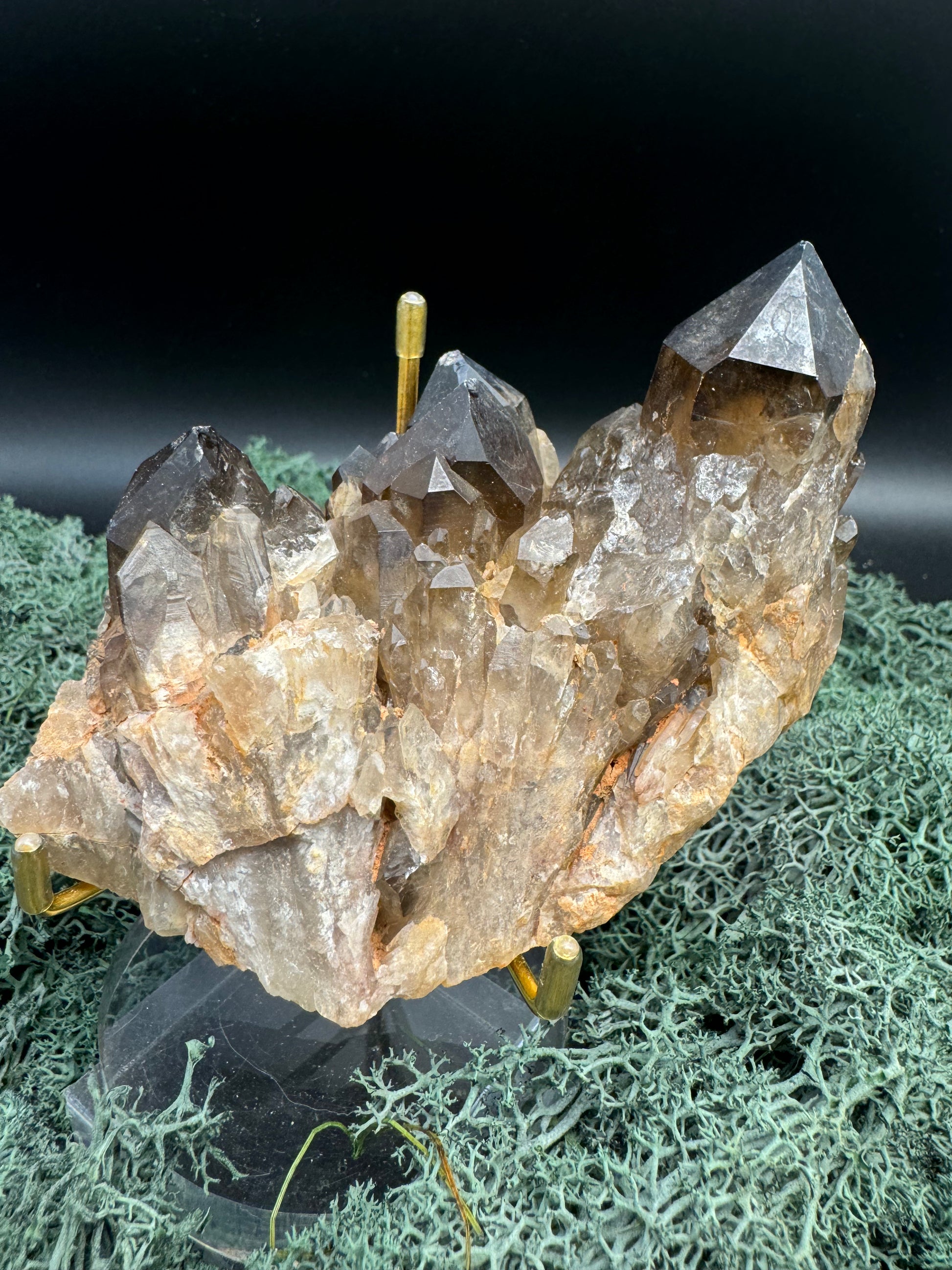 Citrin Handstufe aus Kunduluni, Kongo (420g) - schöne große Kristallspitzen - crystal paradise