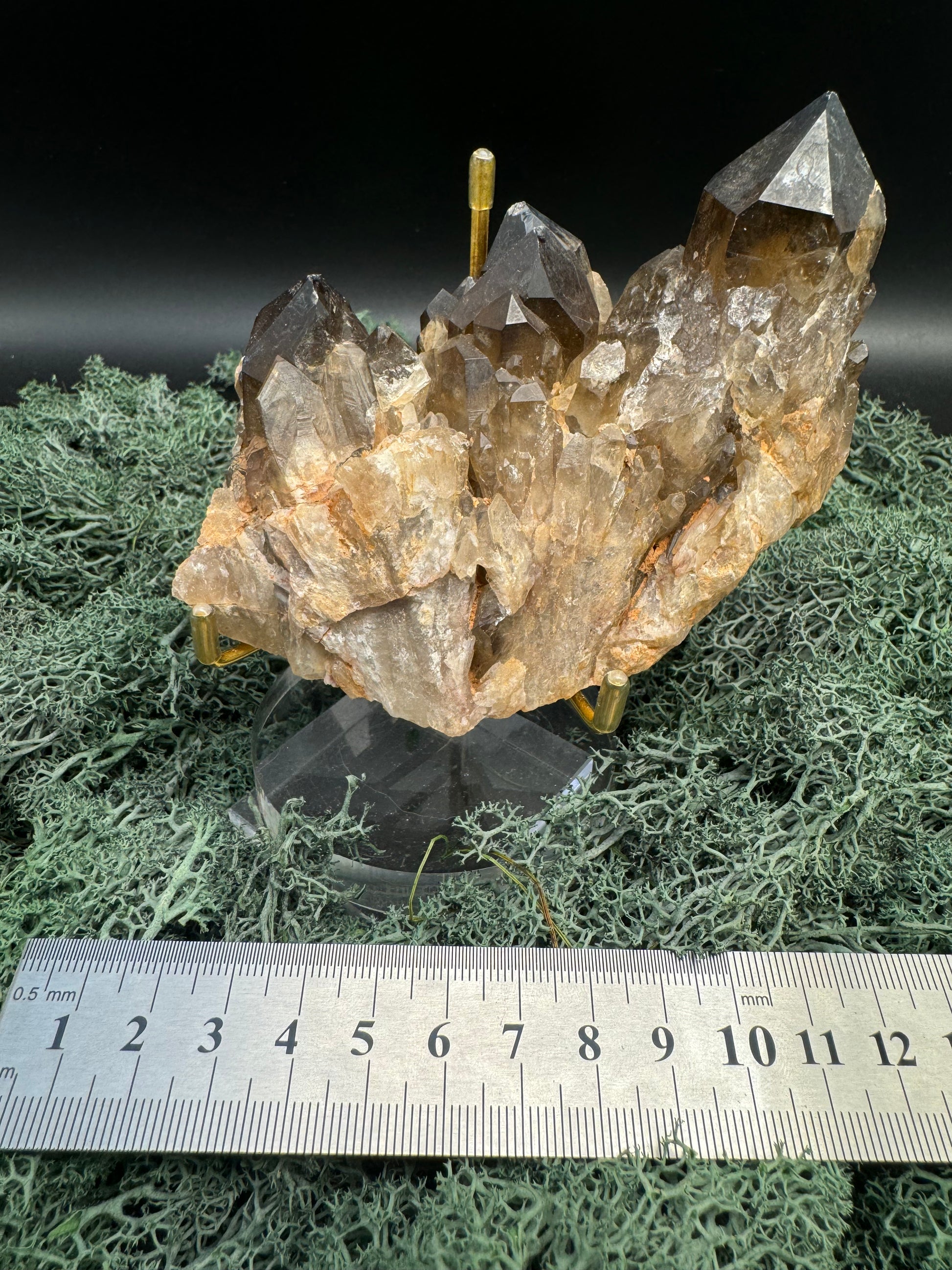 Citrin Handstufe aus Kunduluni, Kongo (420g) - schöne große Kristallspitzen - crystal paradise