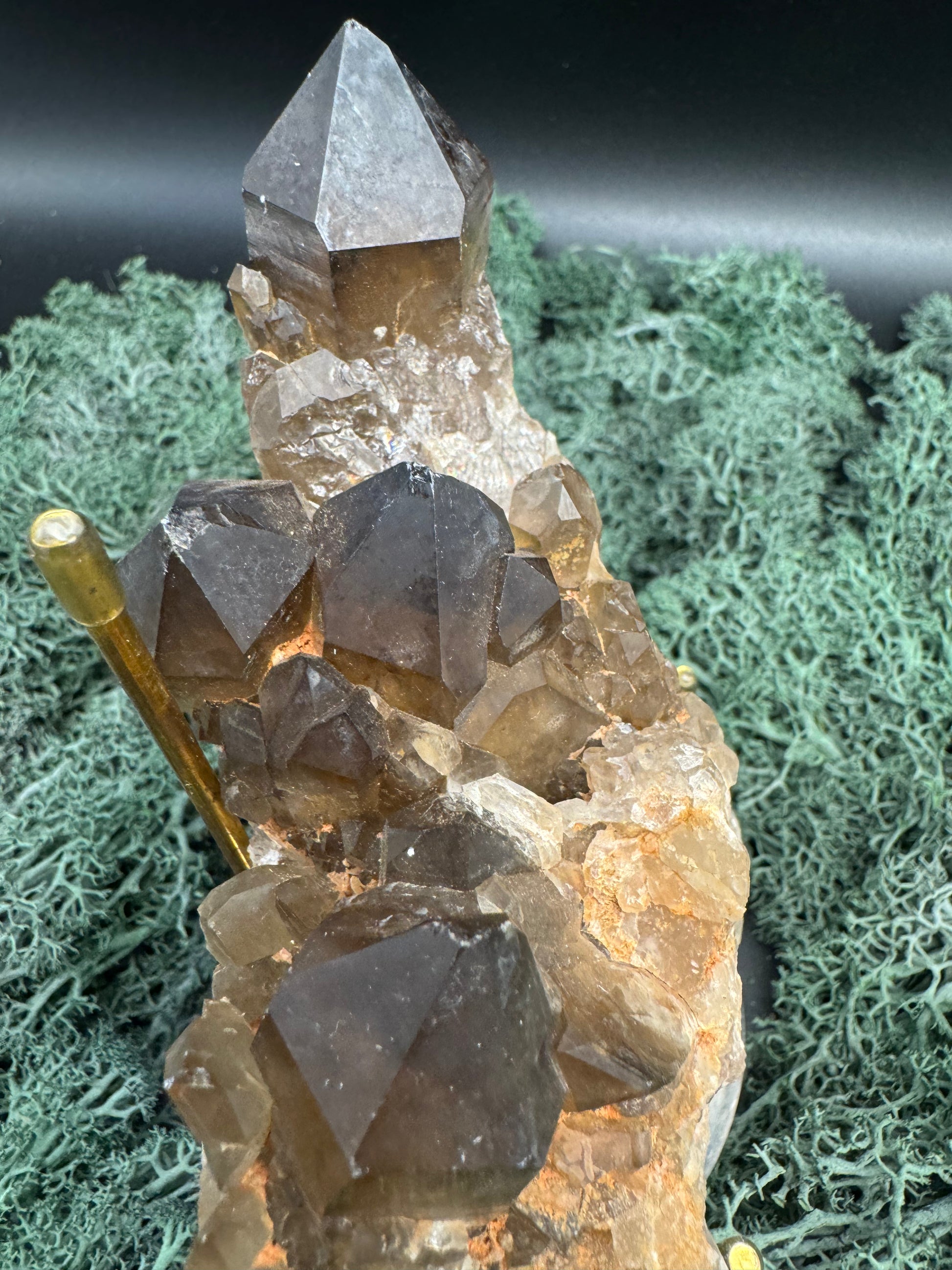 Citrin Handstufe aus Kunduluni, Kongo (420g) - schöne große Kristallspitzen - crystal paradise