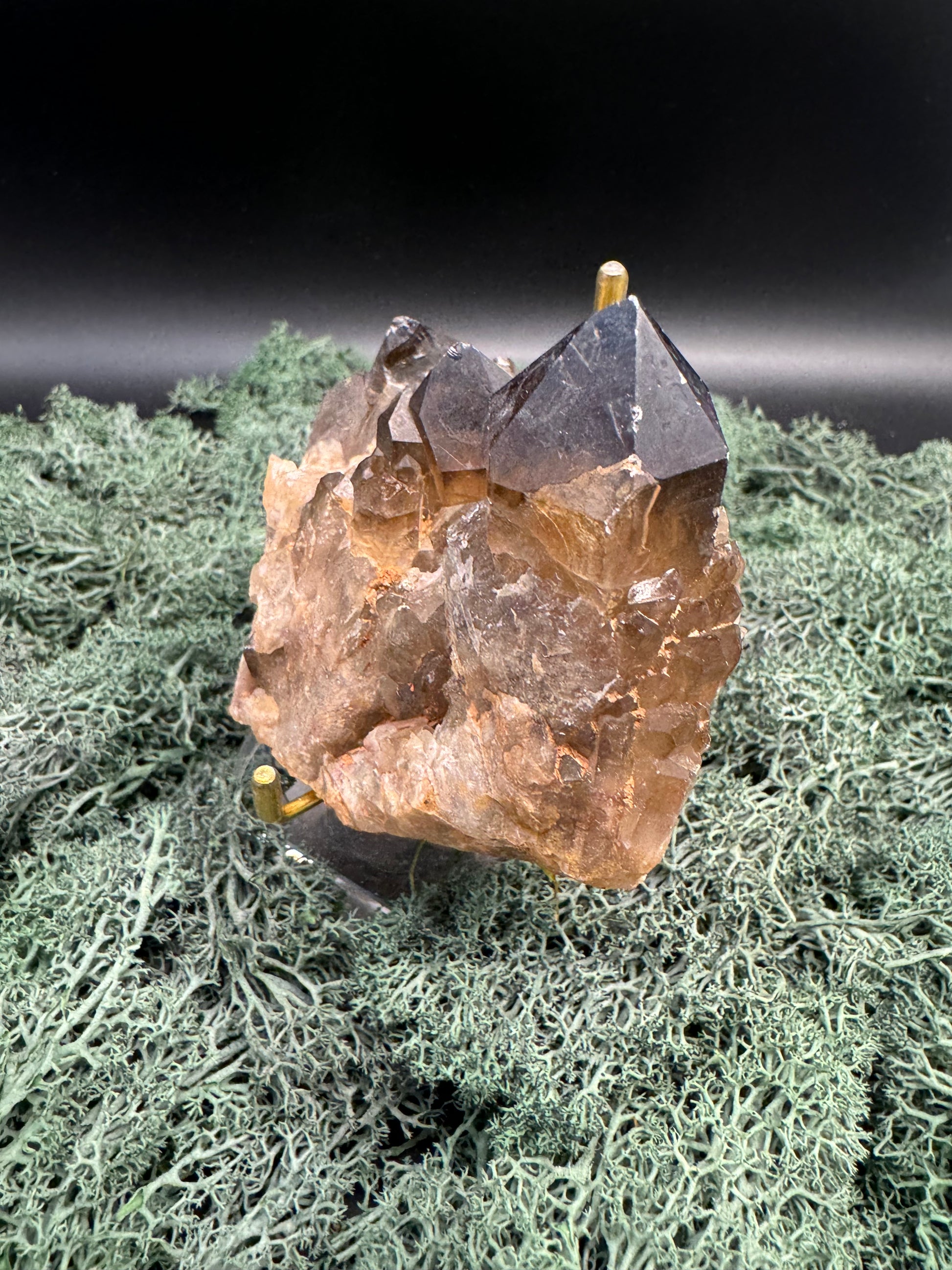 Citrin Handstufe aus Kunduluni, Kongo (420g) - schöne große Kristallspitzen - crystal paradise