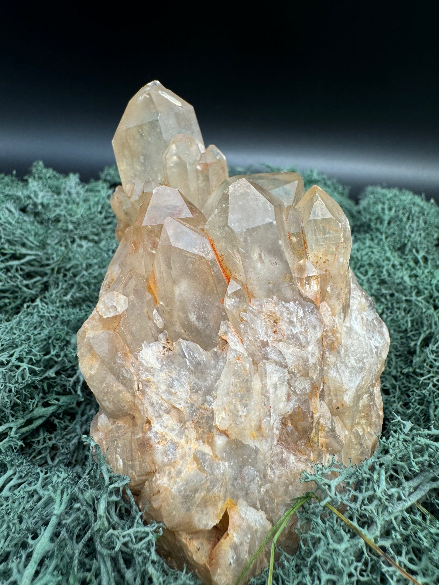 Citrin Handstufe aus Kunduluni, Kongo (454g) - schöne helle Kristallspitzen - crystal paradise