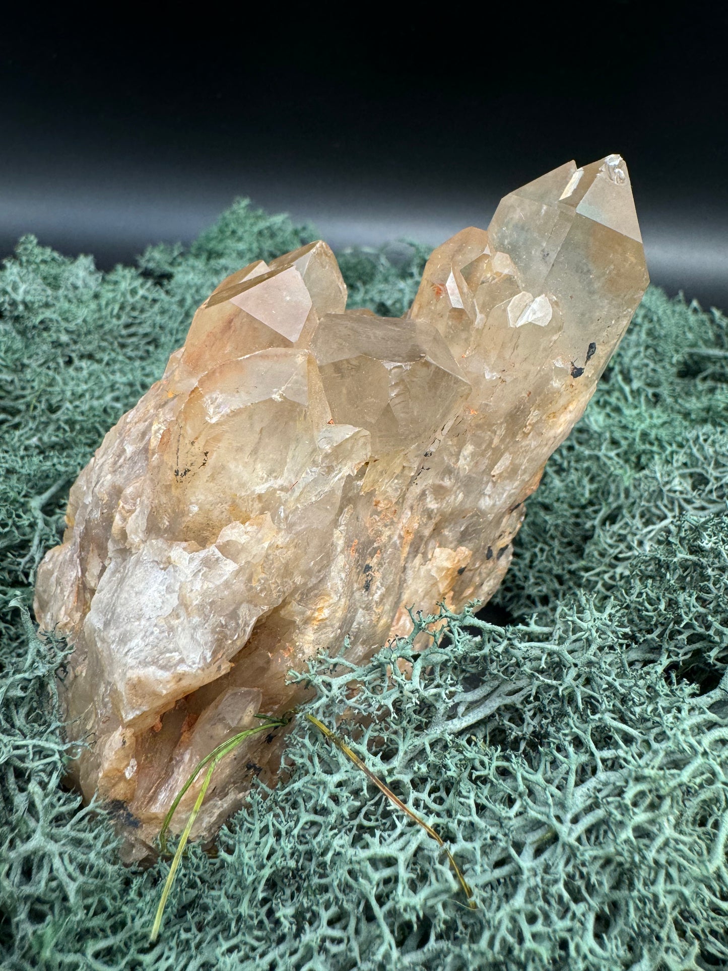 Citrin Handstufe aus Kunduluni, Kongo (454g) - schöne helle Kristallspitzen - crystal paradise