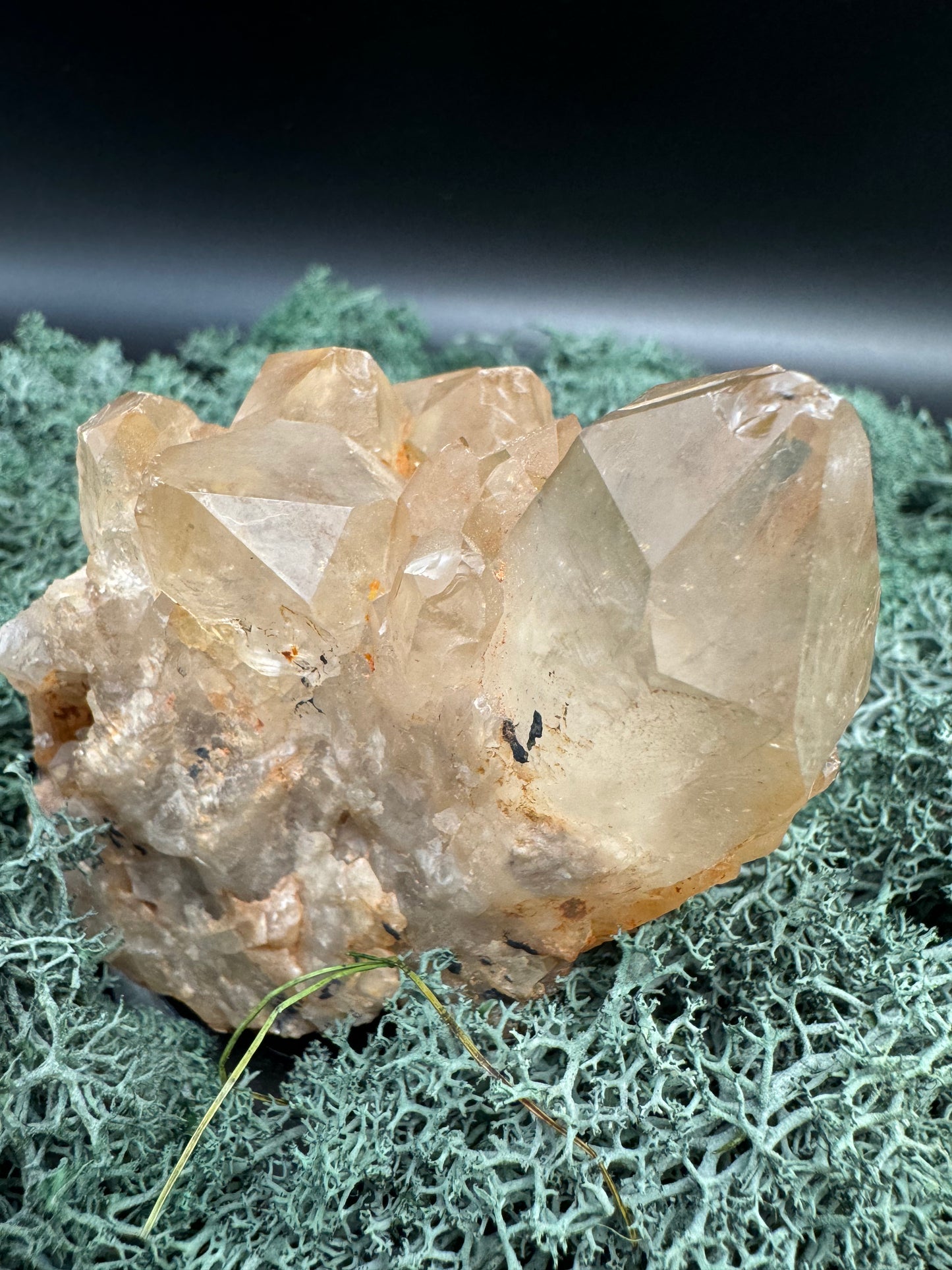 Citrin Handstufe aus Kunduluni, Kongo (454g) - schöne helle Kristallspitzen - crystal paradise