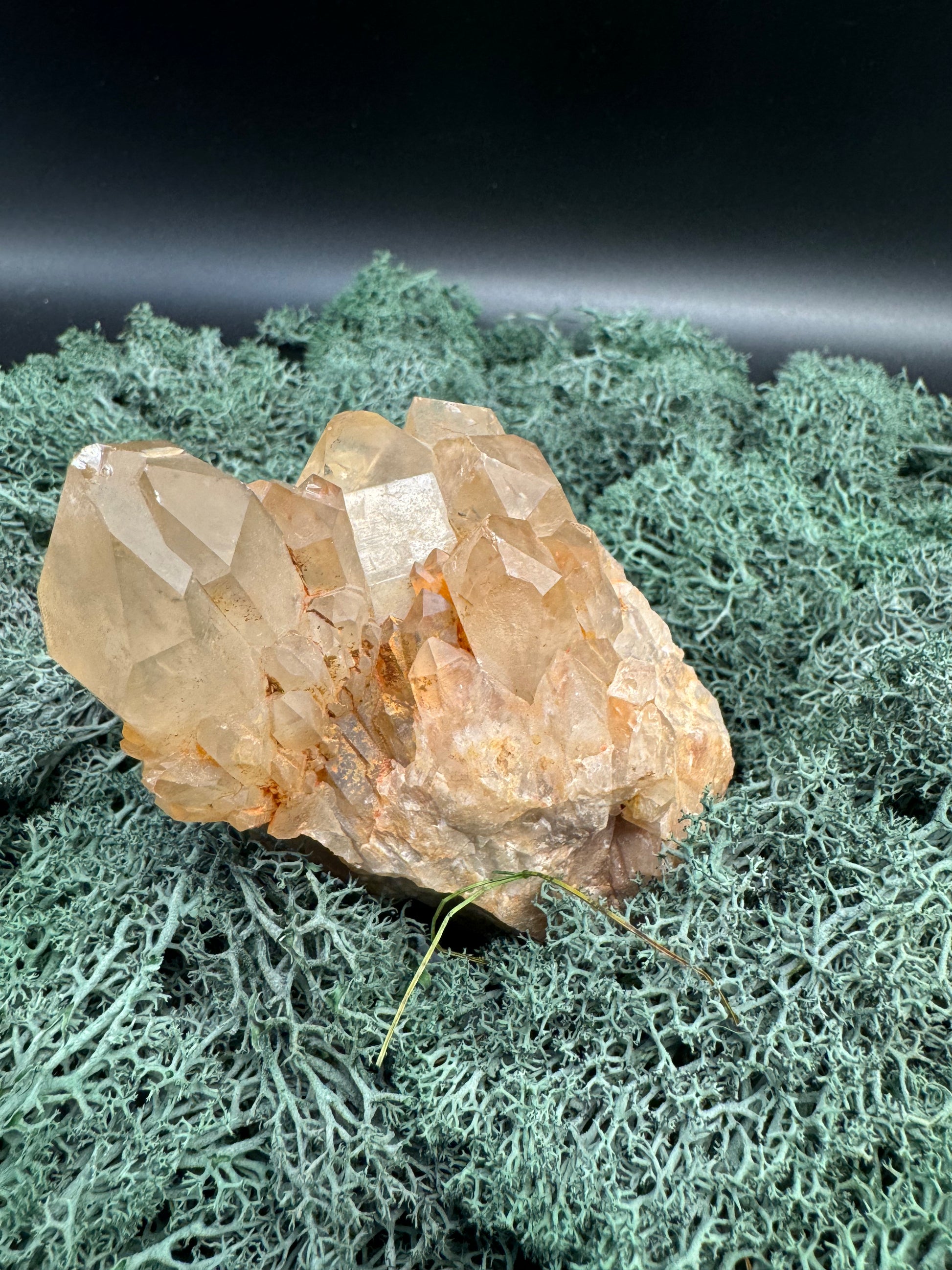 Citrin Handstufe aus Kunduluni, Kongo (454g) - schöne helle Kristallspitzen - crystal paradise