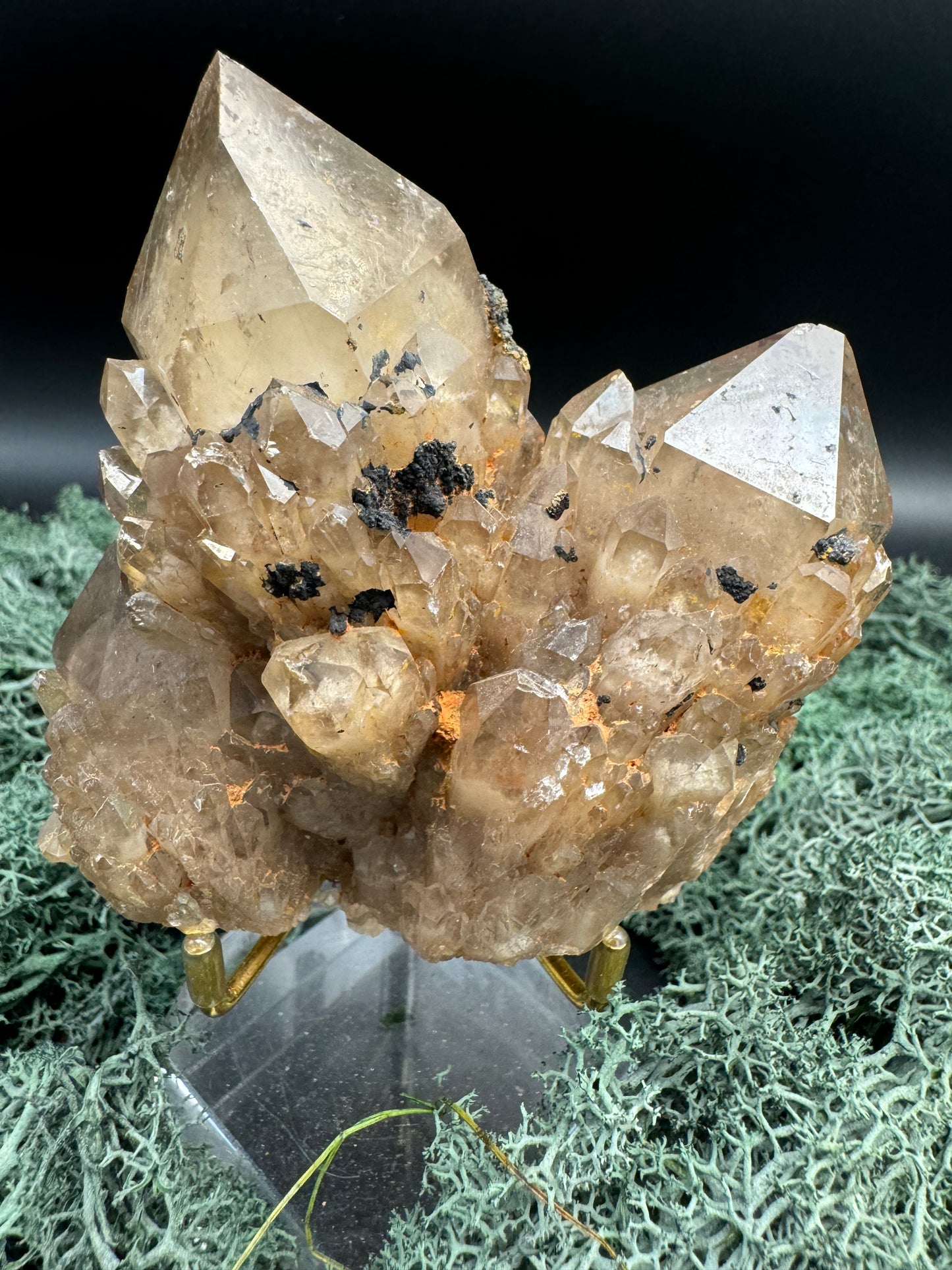 Citrin Handstufe aus Kunduluni, Kongo (356g) - schöne große Kristallspitzen - crystal paradise