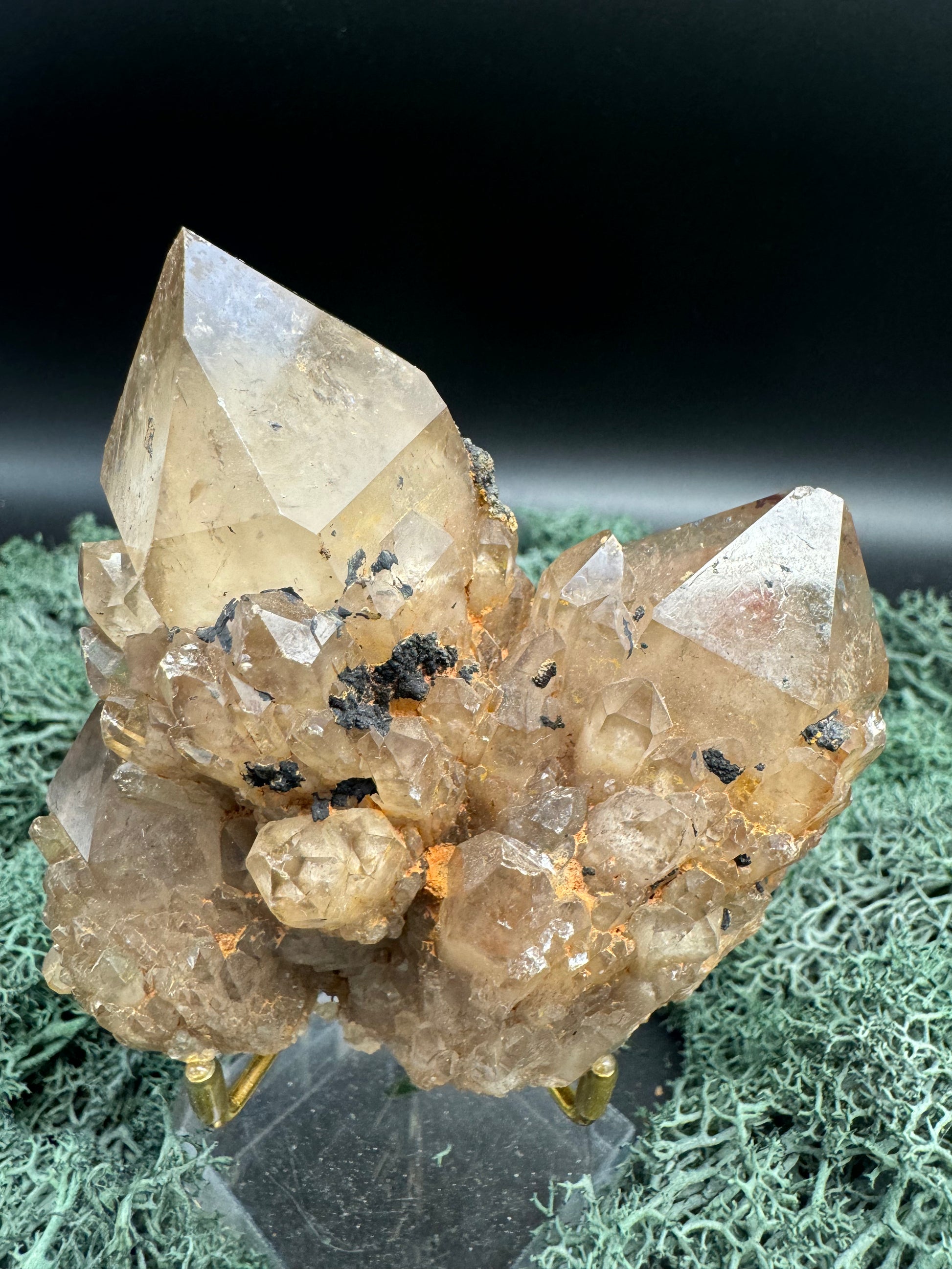 Citrin Handstufe aus Kunduluni, Kongo (356g) - schöne große Kristallspitzen - crystal paradise