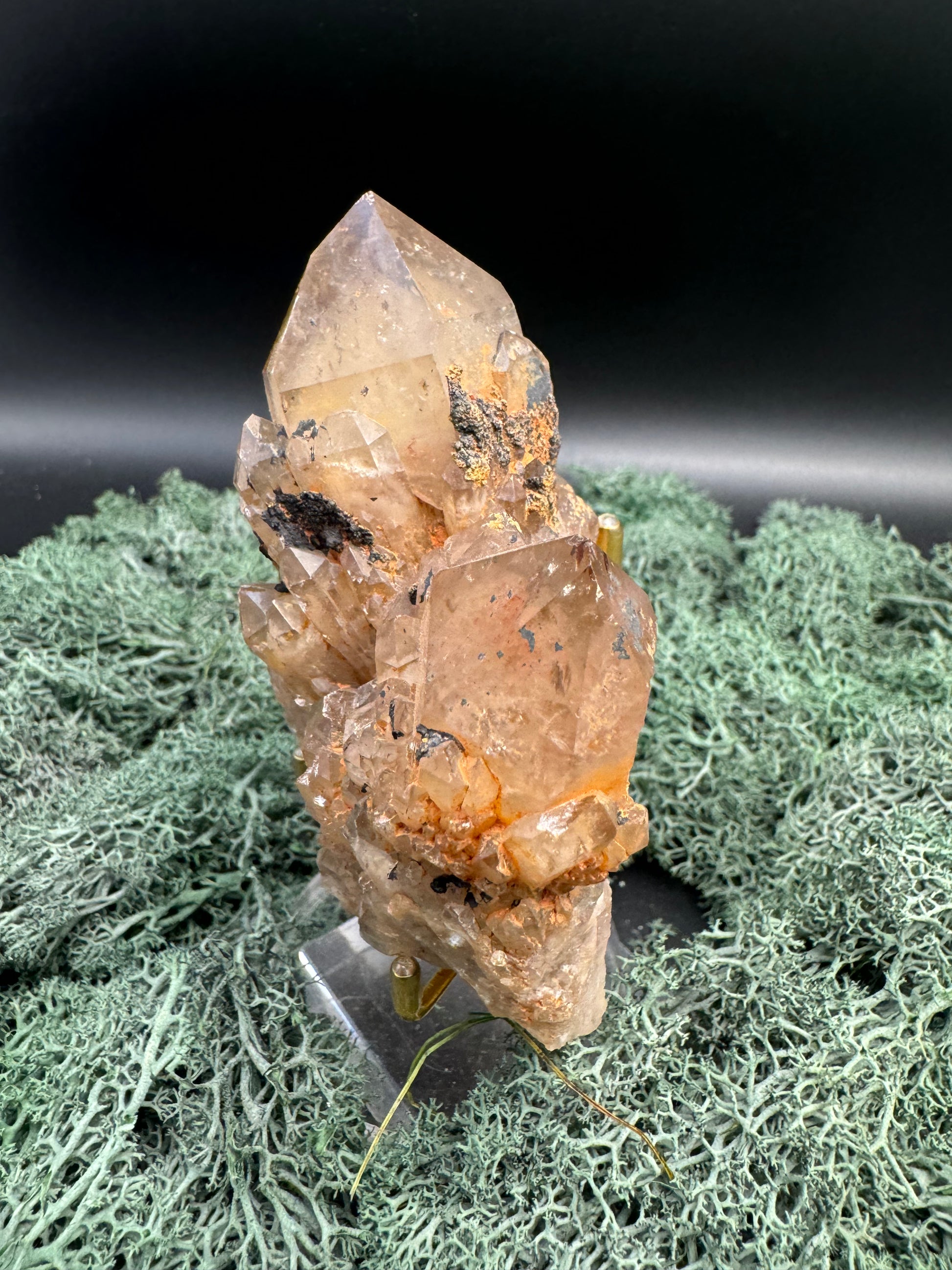 Citrin Handstufe aus Kunduluni, Kongo (356g) - schöne große Kristallspitzen - crystal paradise