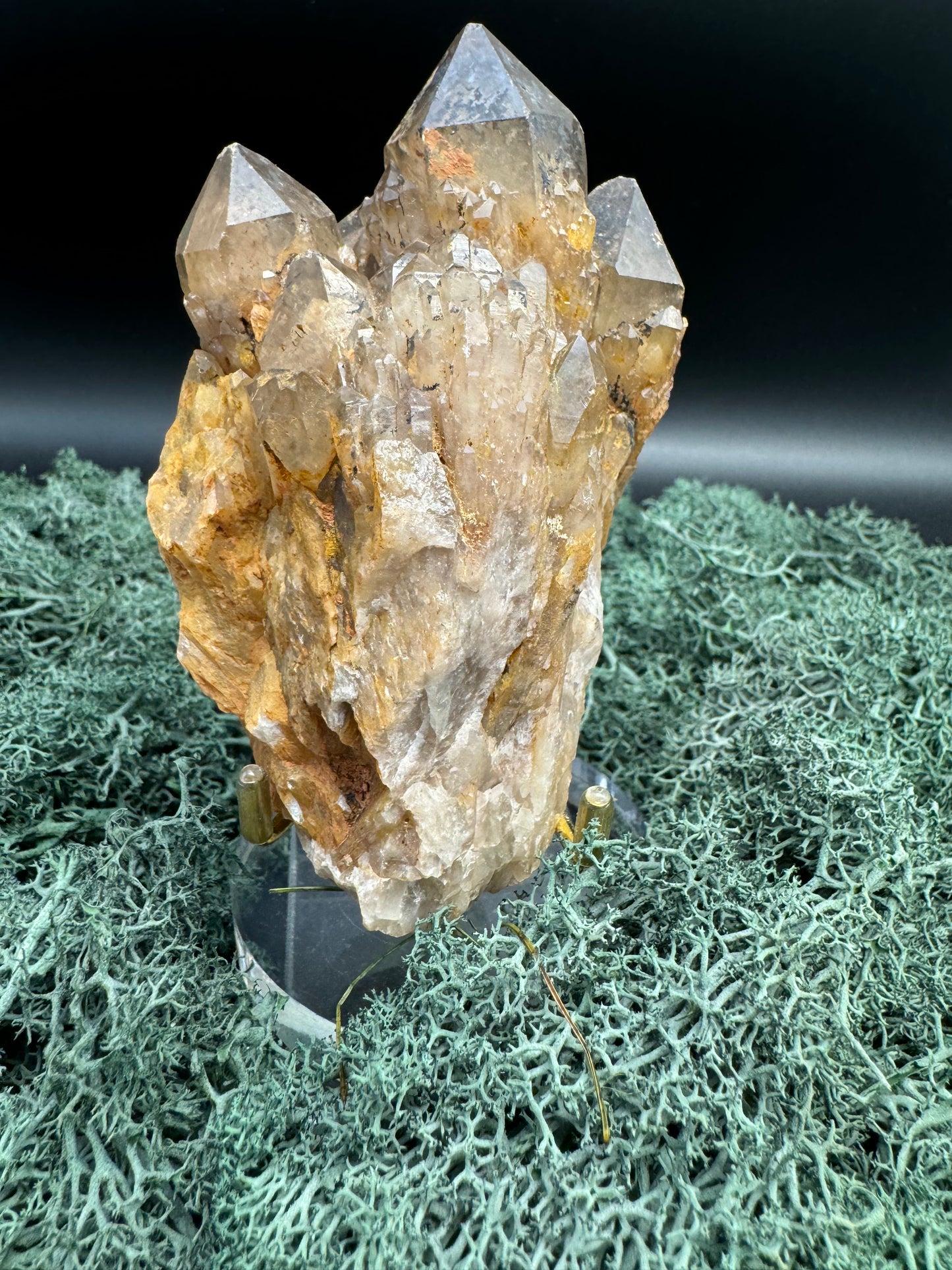 Citrin Handstufe aus Kunduluni, Kongo (421g) - schöne dunkle Kristallspitzen - crystal paradise