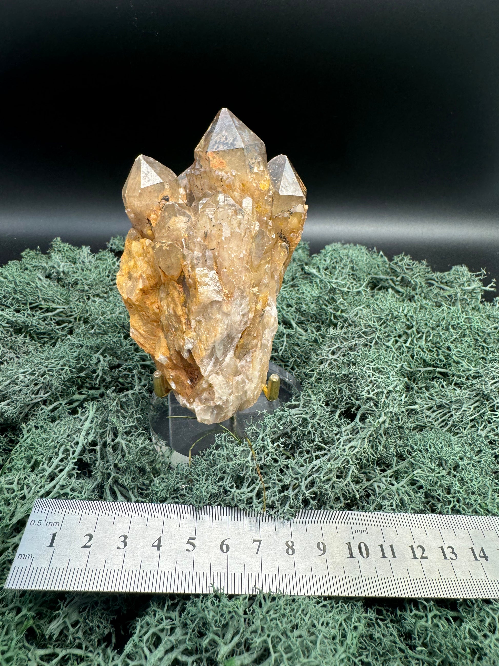 Citrin Handstufe aus Kunduluni, Kongo (421g) - schöne dunkle Kristallspitzen - crystal paradise