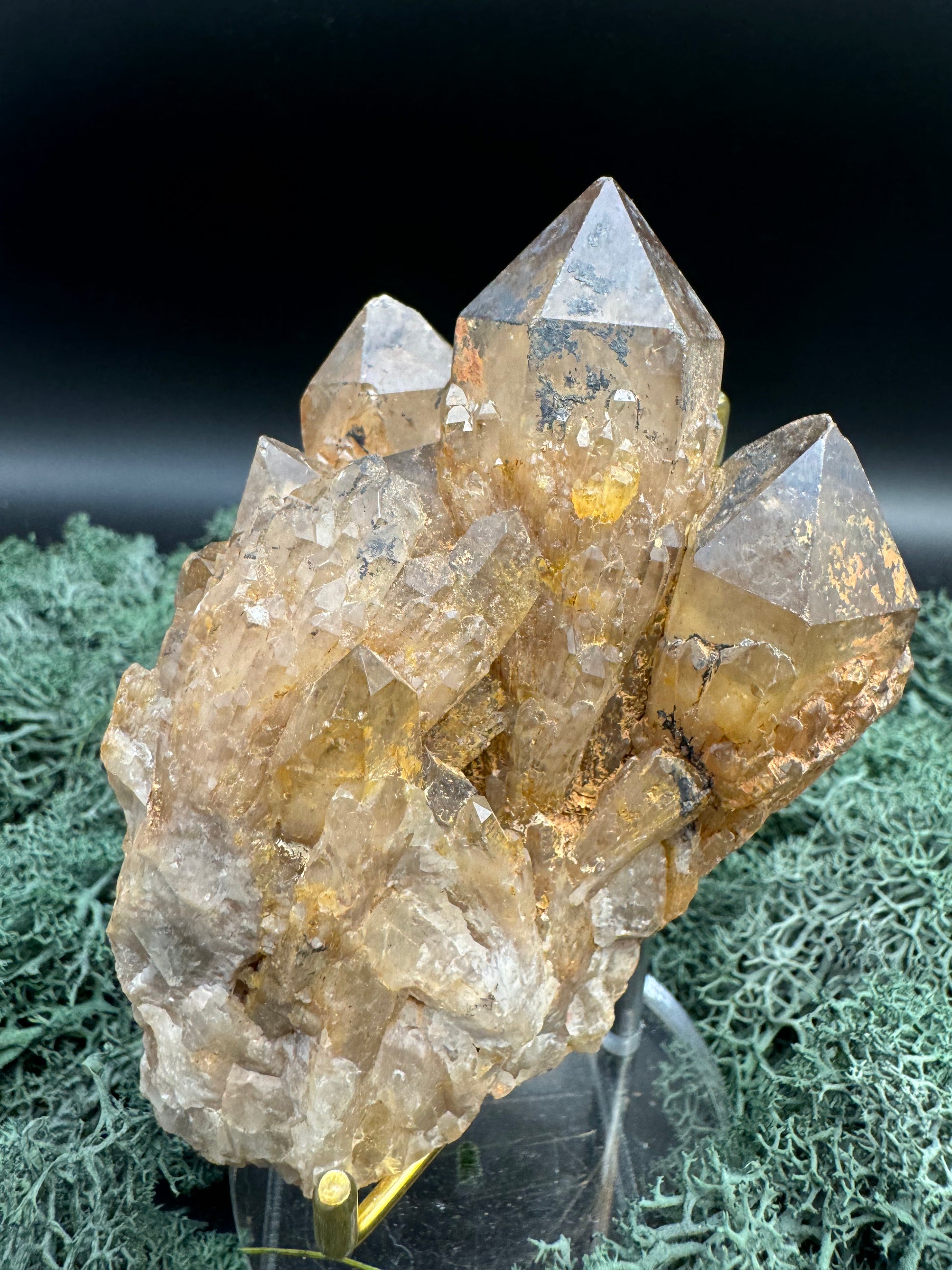 Citrin Handstufe aus Kunduluni, Kongo (421g) - schöne dunkle Kristallspitzen - crystal paradise