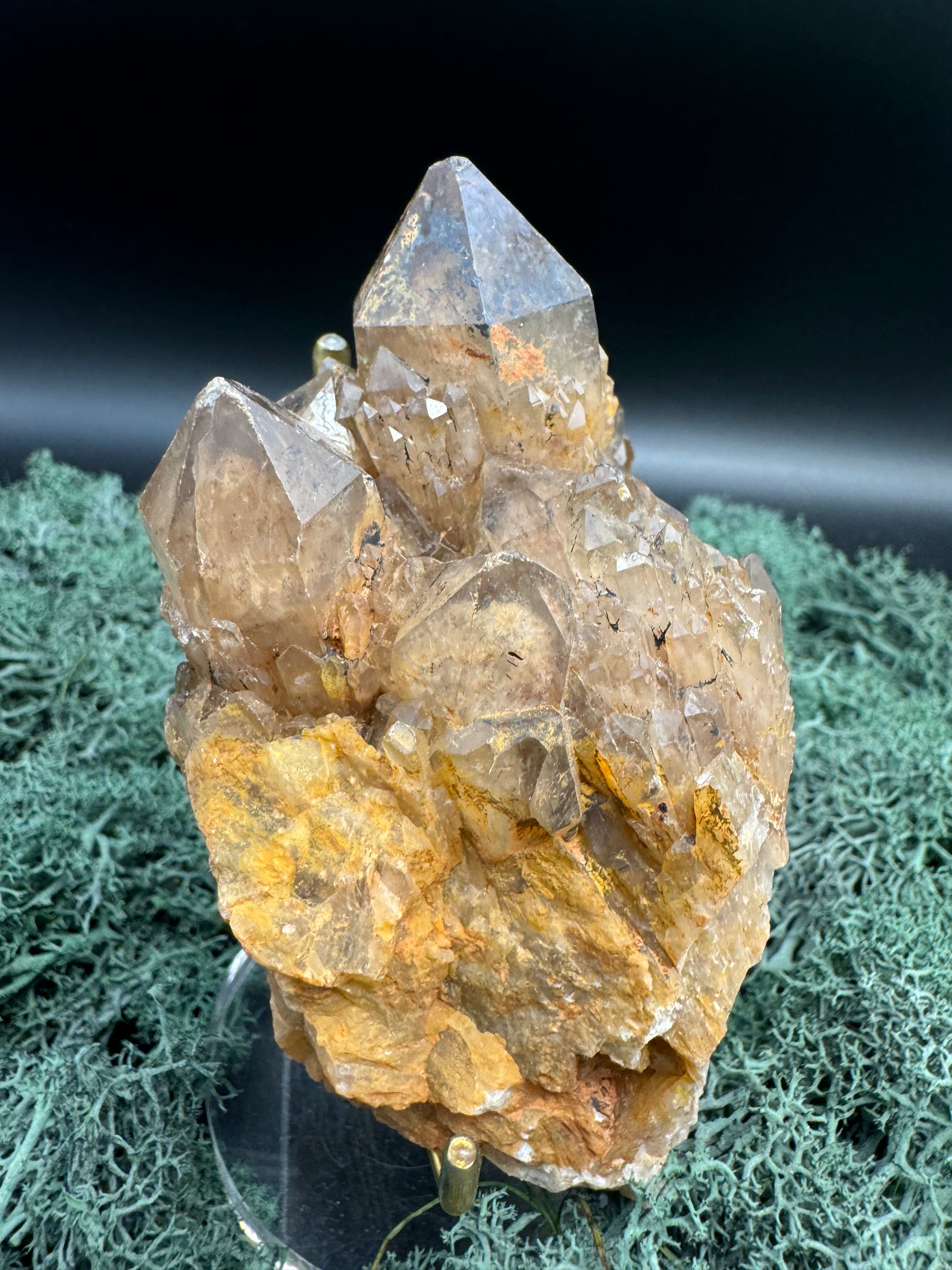 Citrin Handstufe aus Kunduluni, Kongo (421g) - schöne dunkle Kristallspitzen - crystal paradise