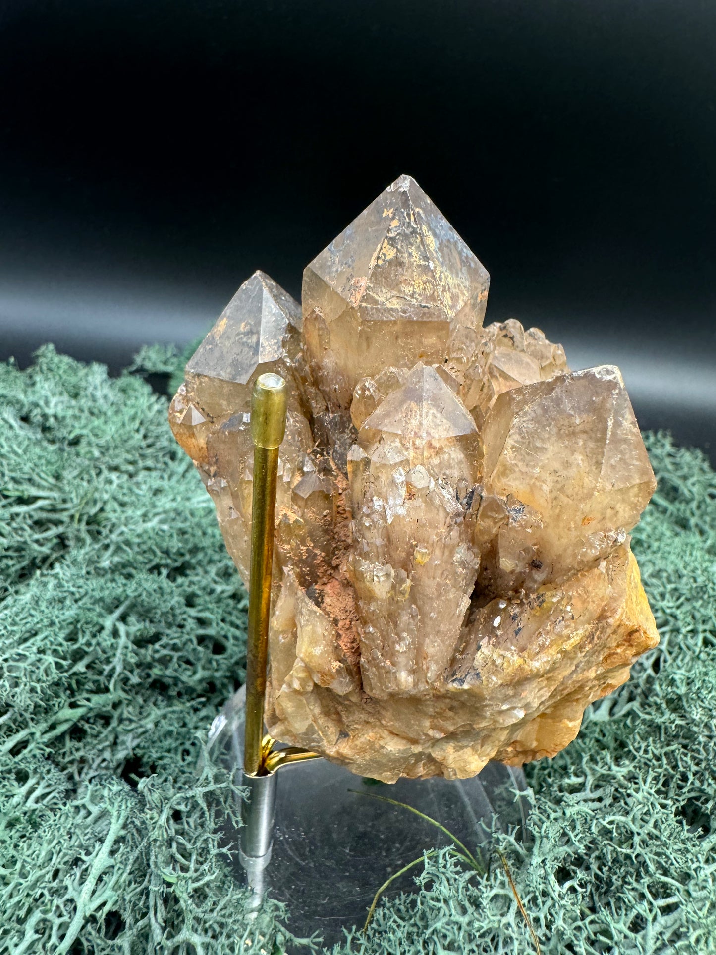 Citrin Handstufe aus Kunduluni, Kongo (421g) - schöne dunkle Kristallspitzen - crystal paradise