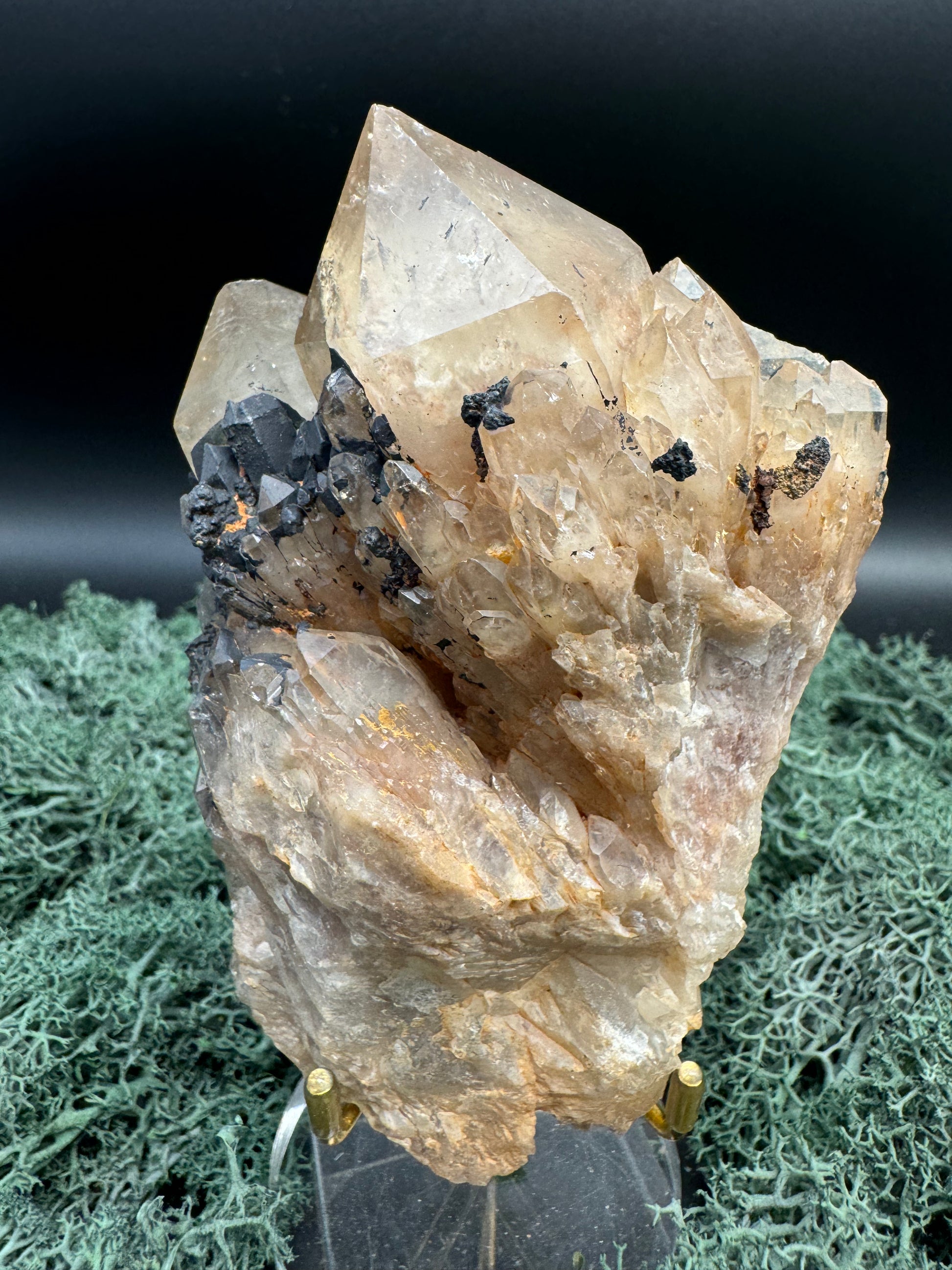 Citrin Handstufe aus Kunduluni, Kongo (374g) - schöne große Kristallspitzen - crystal paradise