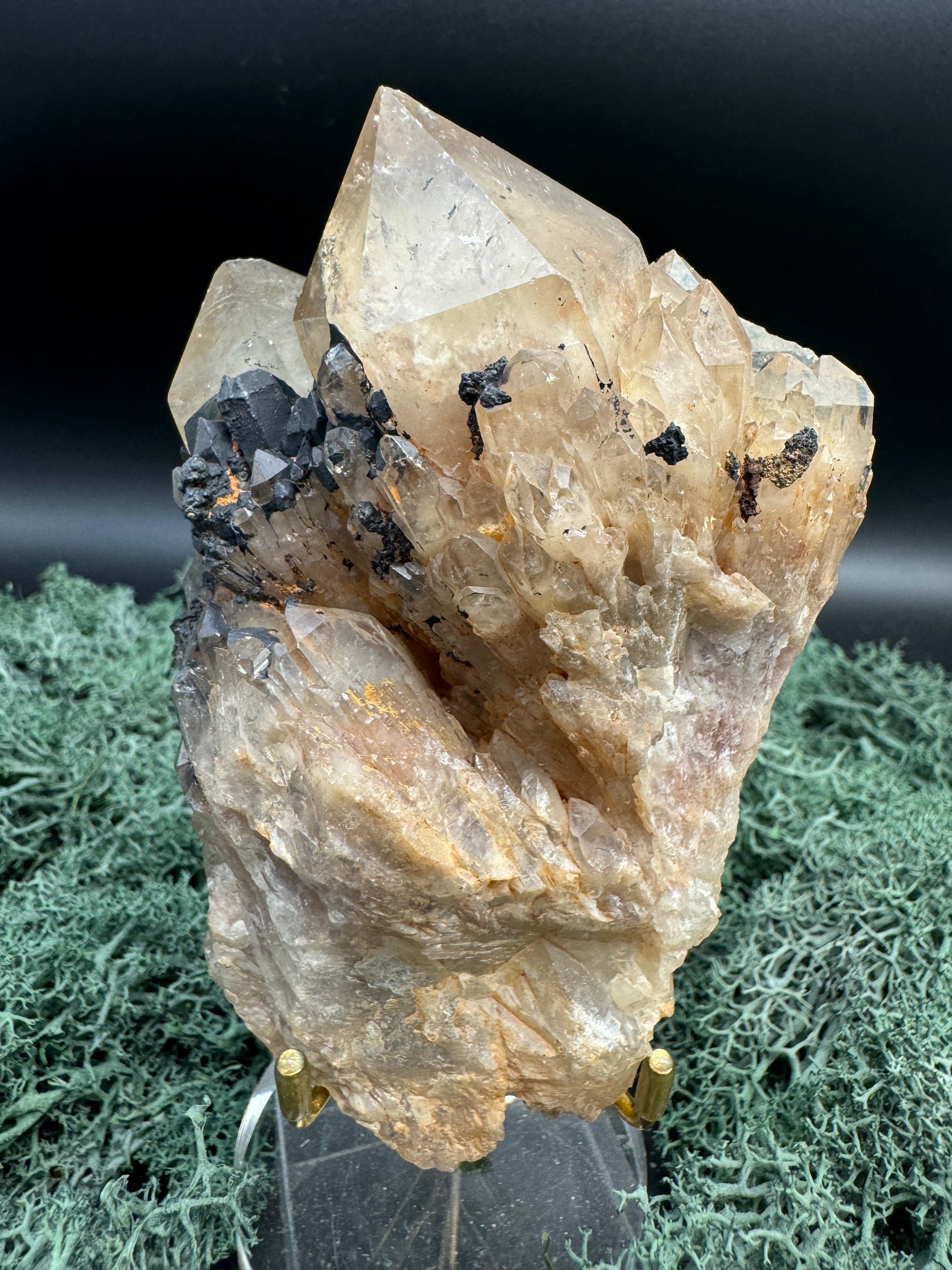 Citrin Handstufe aus Kunduluni, Kongo (374g) - schöne große Kristallspitzen - crystal paradise