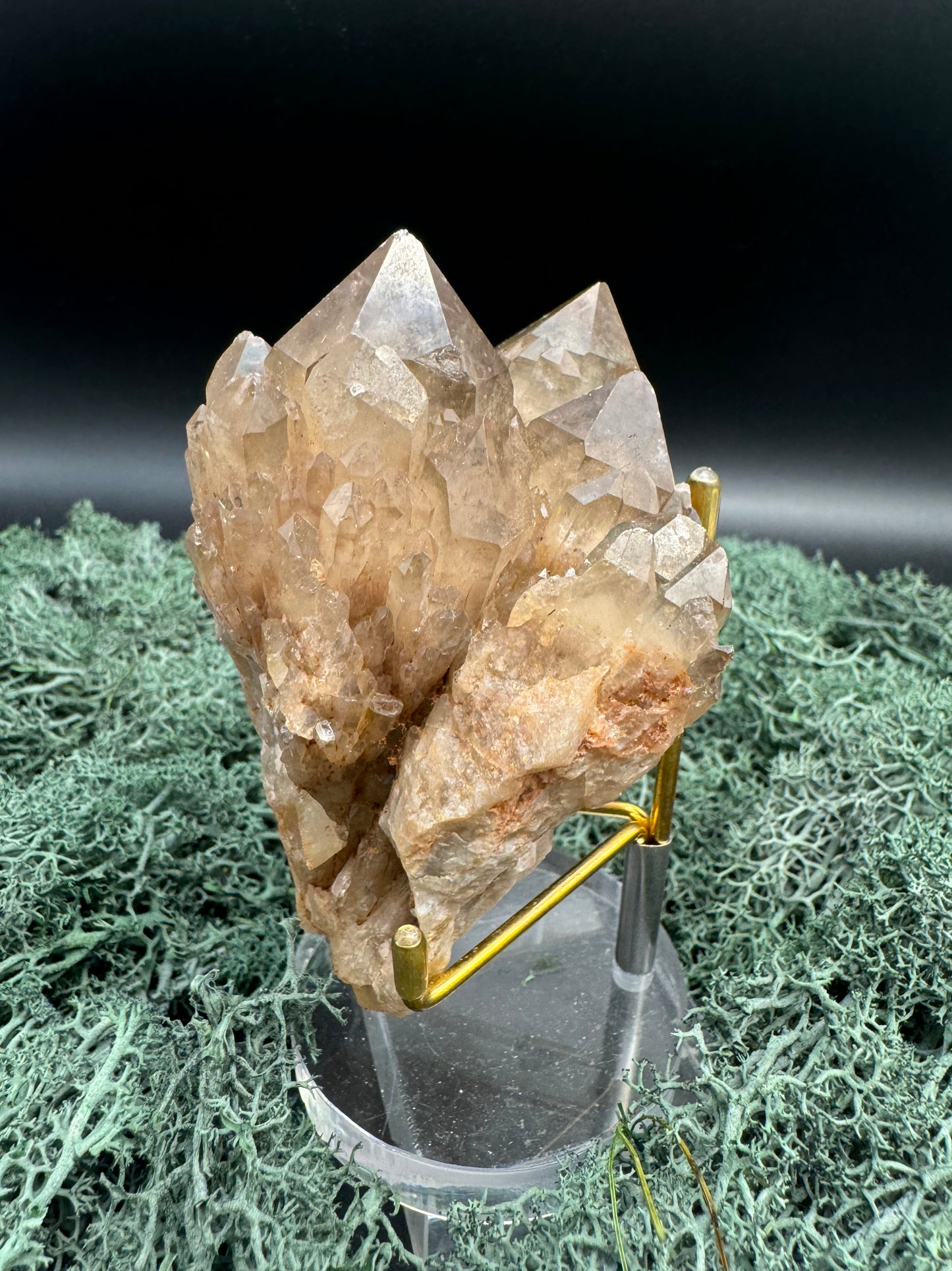 Citrin Handstufe aus Kunduluni, Kongo (271g) - schöne große Kristallspitzen - crystal paradise