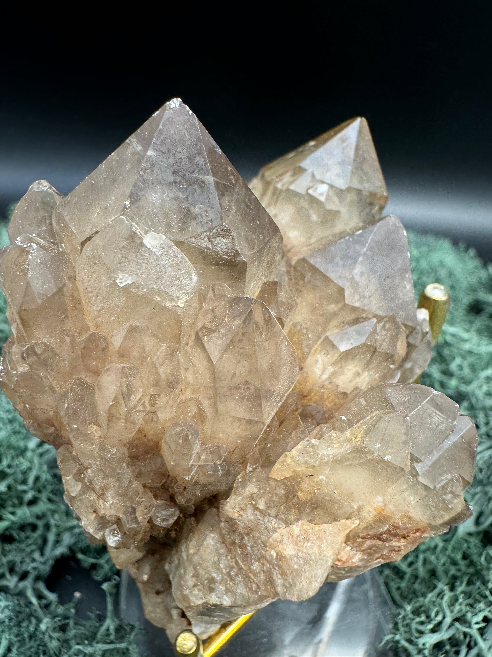 Citrin Handstufe aus Kunduluni, Kongo (271g) - schöne große Kristallspitzen - crystal paradise