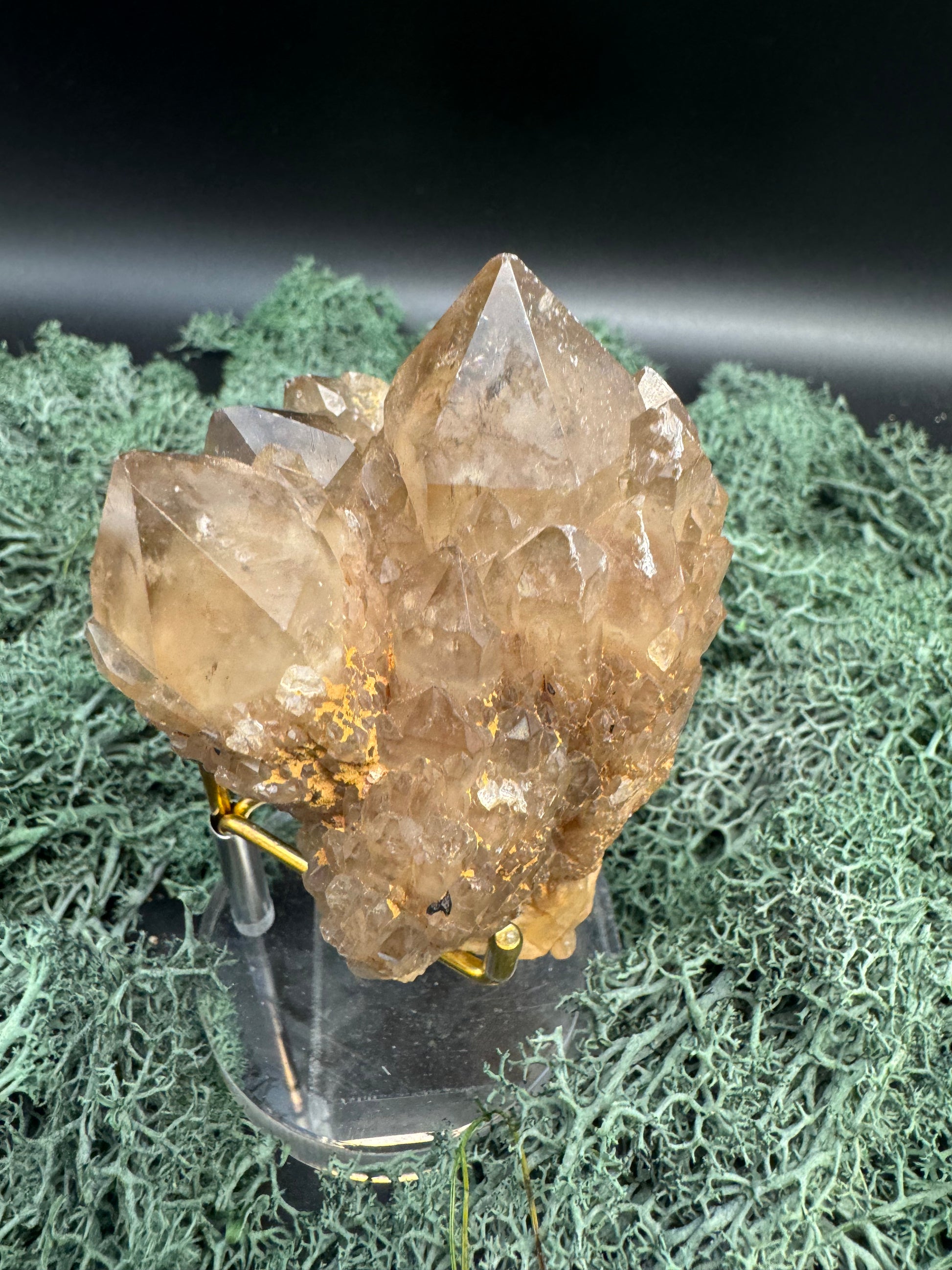 Citrin Handstufe aus Kunduluni, Kongo (271g) - schöne große Kristallspitzen - crystal paradise