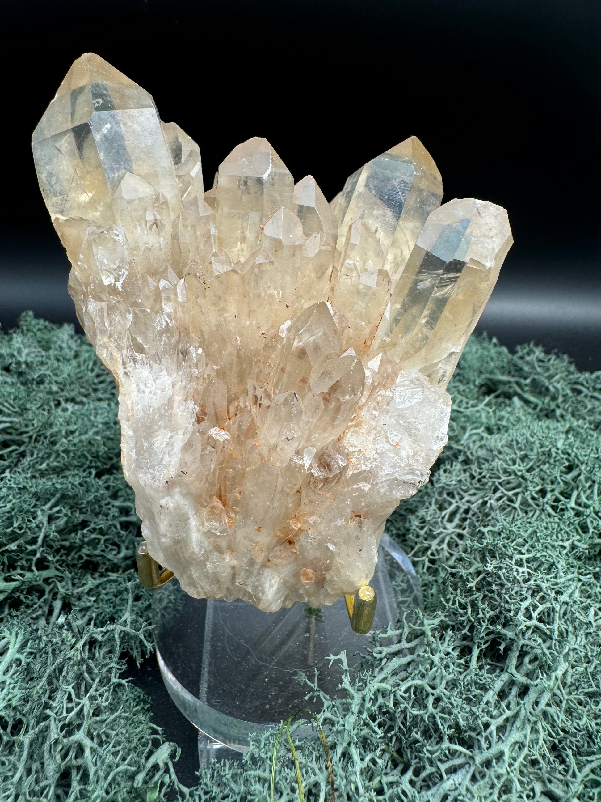 Citrin Handstufe aus Kunduluni, Kongo (440g) - sehr schöne helle Kristallspitzen - crystal paradise