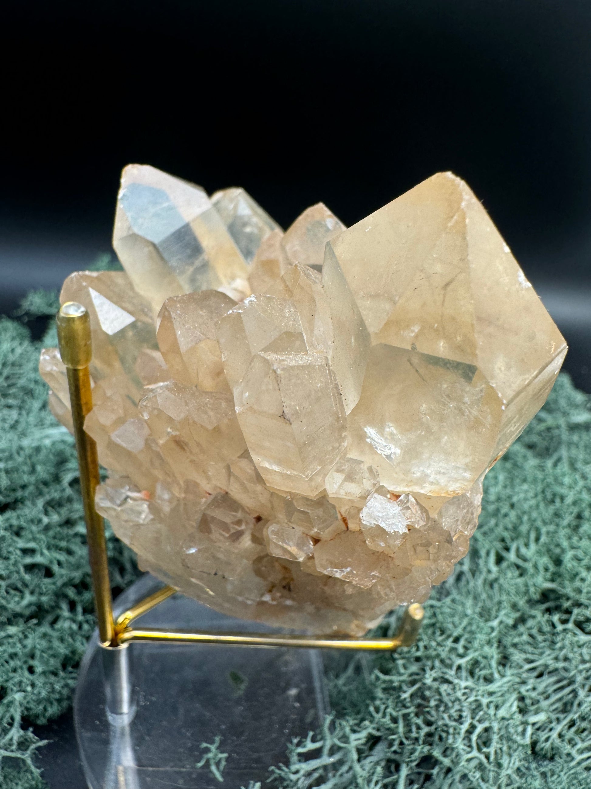 Citrin Handstufe aus Kunduluni, Kongo (440g) - sehr schöne helle Kristallspitzen - crystal paradise