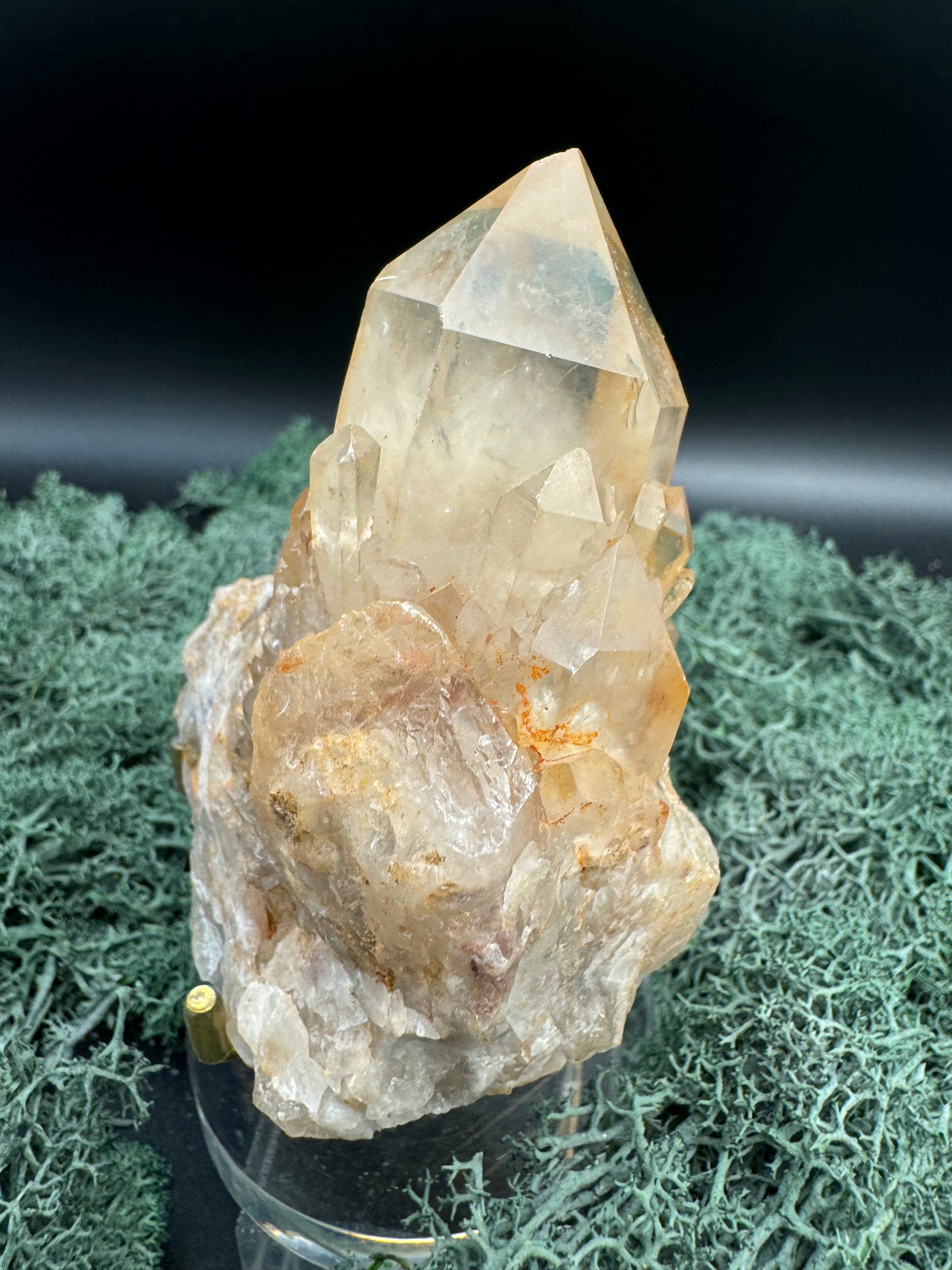 Citrin Handstufe aus Kunduluni, Kongo (361g) - schöne große Kristallspitze - crystal paradise