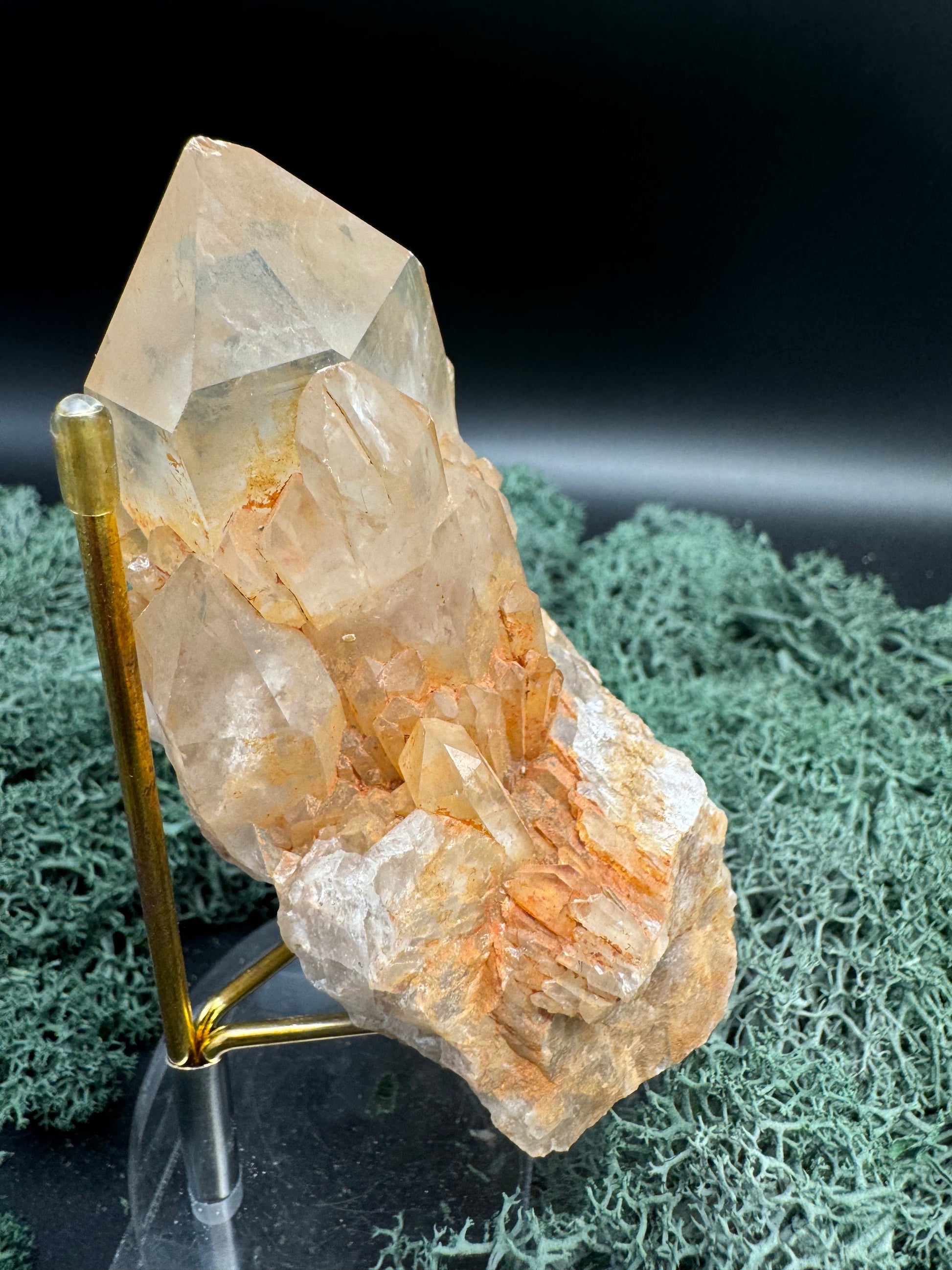 Citrin Handstufe aus Kunduluni, Kongo (361g) - schöne große Kristallspitze - crystal paradise