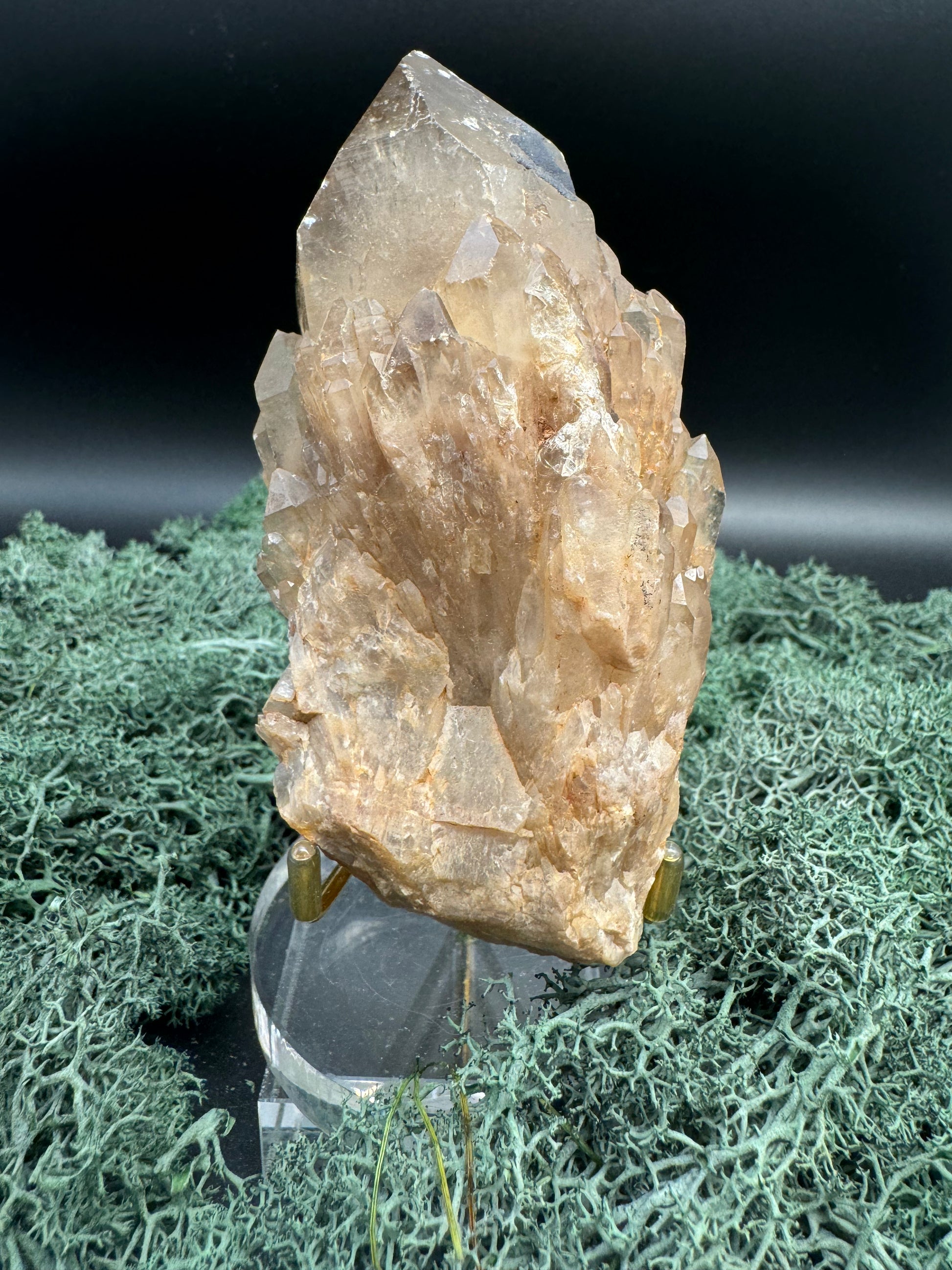 Citrin Handstufe aus Kunduluni, Kongo (369g) - schöne große Kristallspitze - crystal paradise