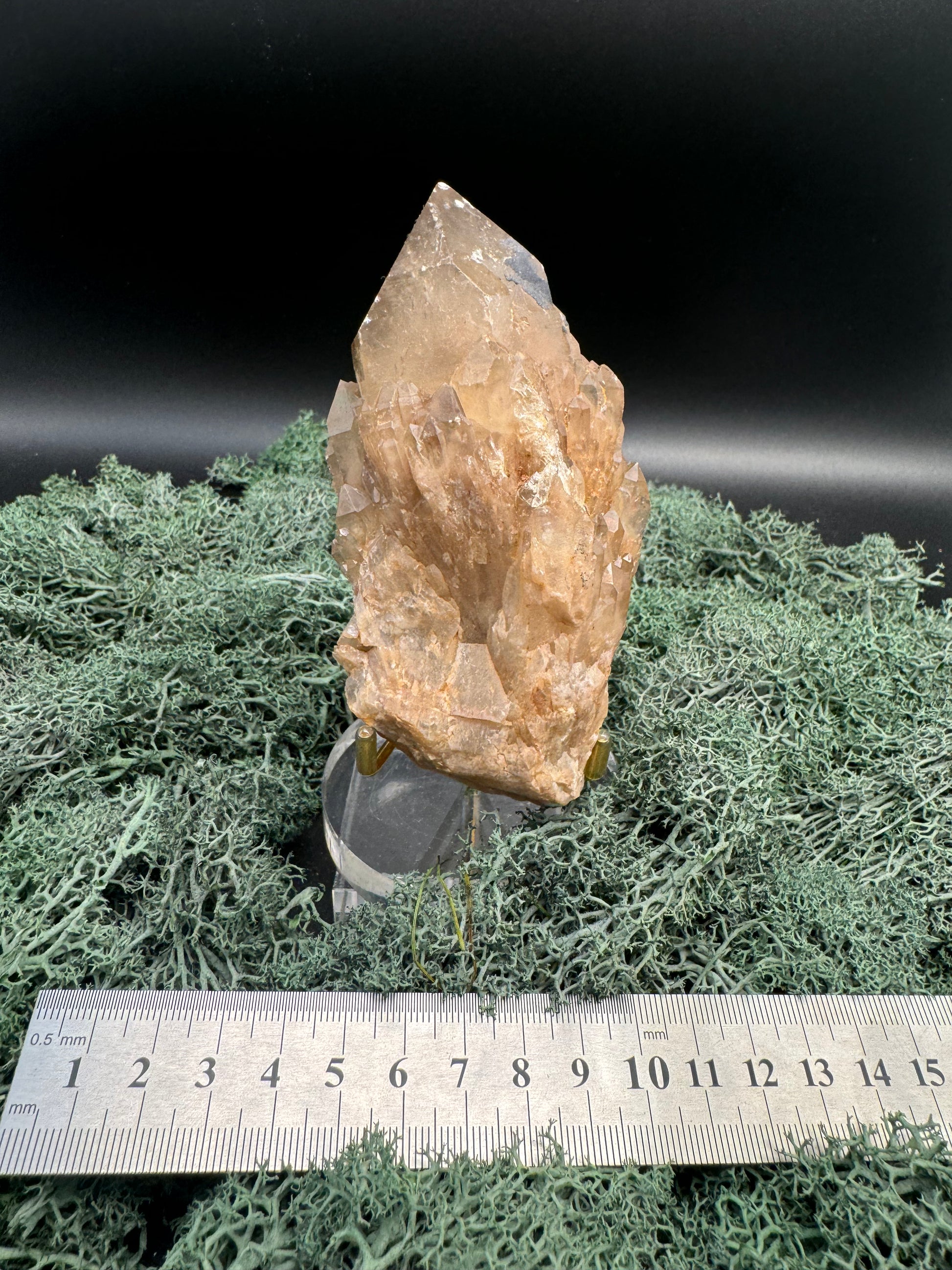 Citrin Handstufe aus Kunduluni, Kongo (369g) - schöne große Kristallspitze - crystal paradise