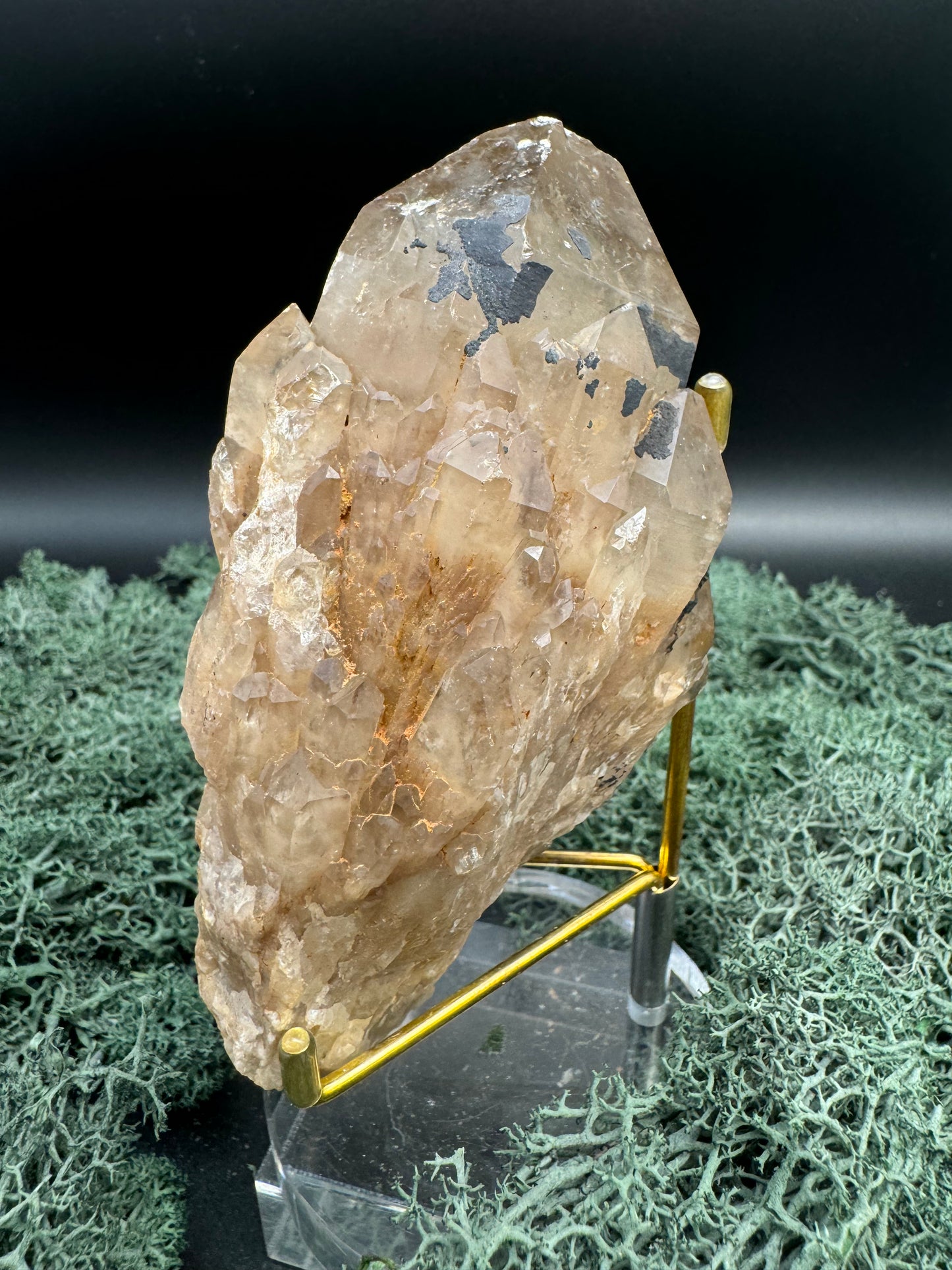 Citrin Handstufe aus Kunduluni, Kongo (369g) - schöne große Kristallspitze - crystal paradise