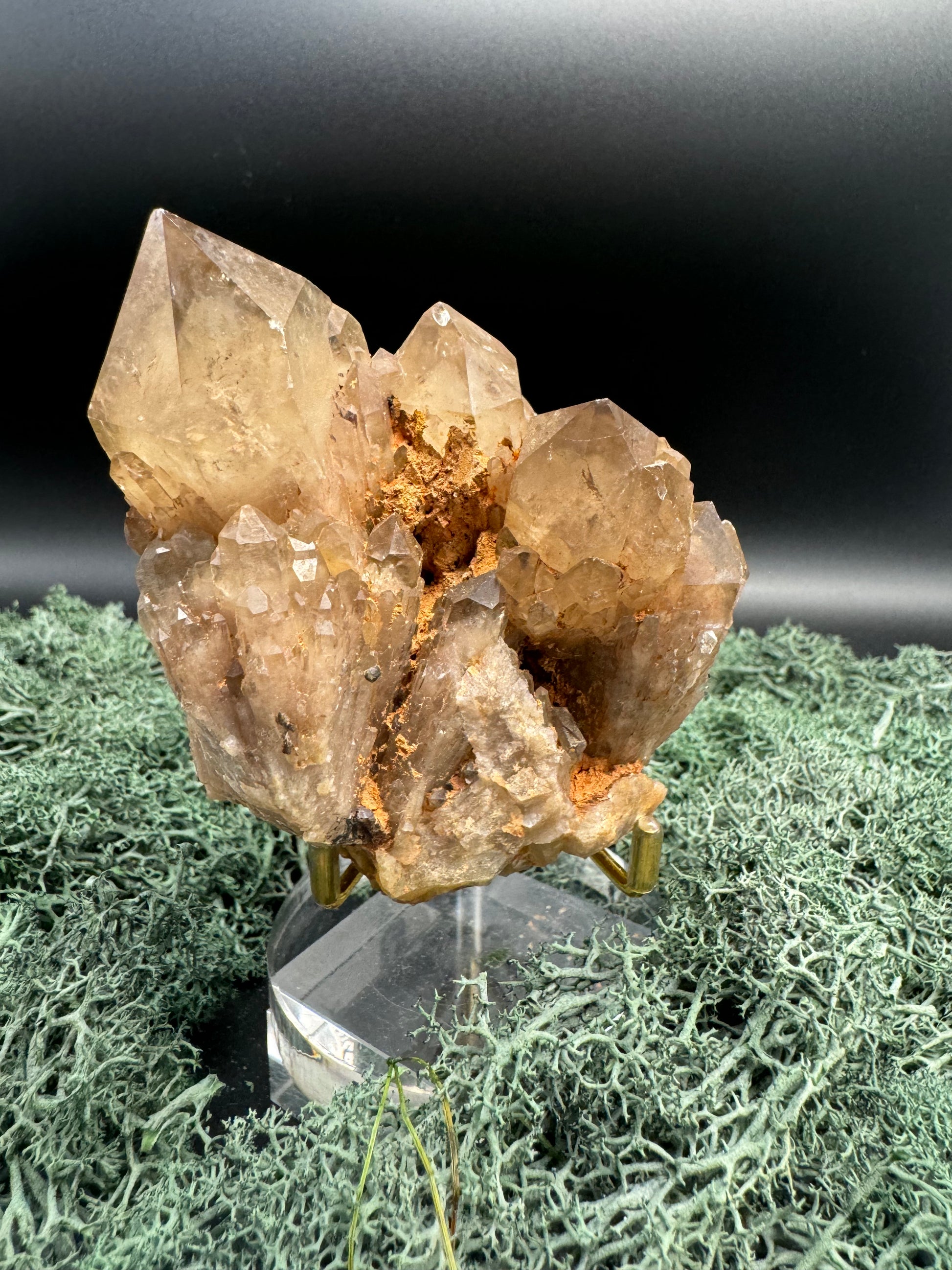 Citrin Handstufe aus Kunduluni, Kongo (420g) - schöne große Kristallspitzen - crystal paradise