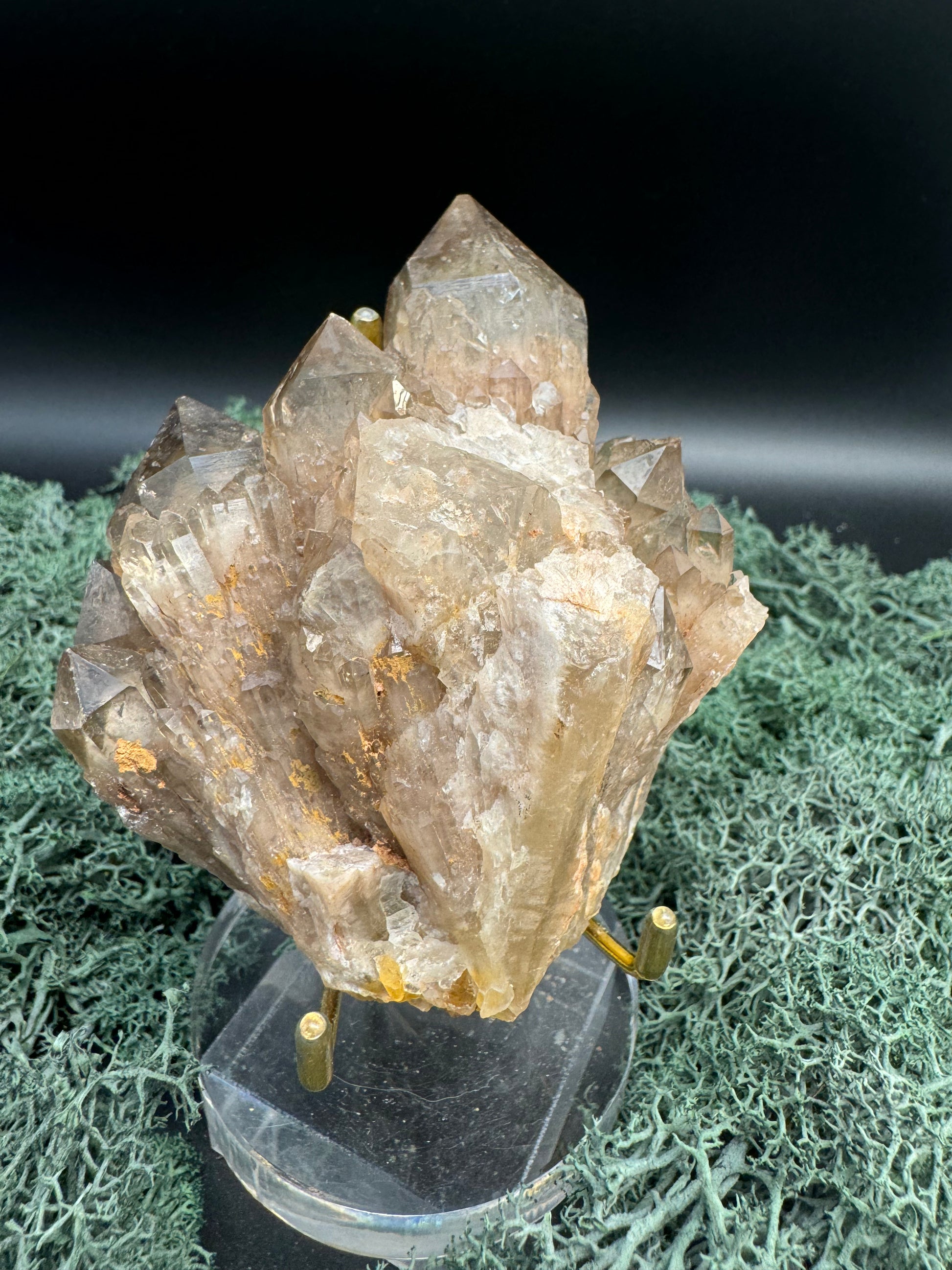 Citrin Handstufe aus Kunduluni, Kongo (420g) - schöne große Kristallspitzen - crystal paradise