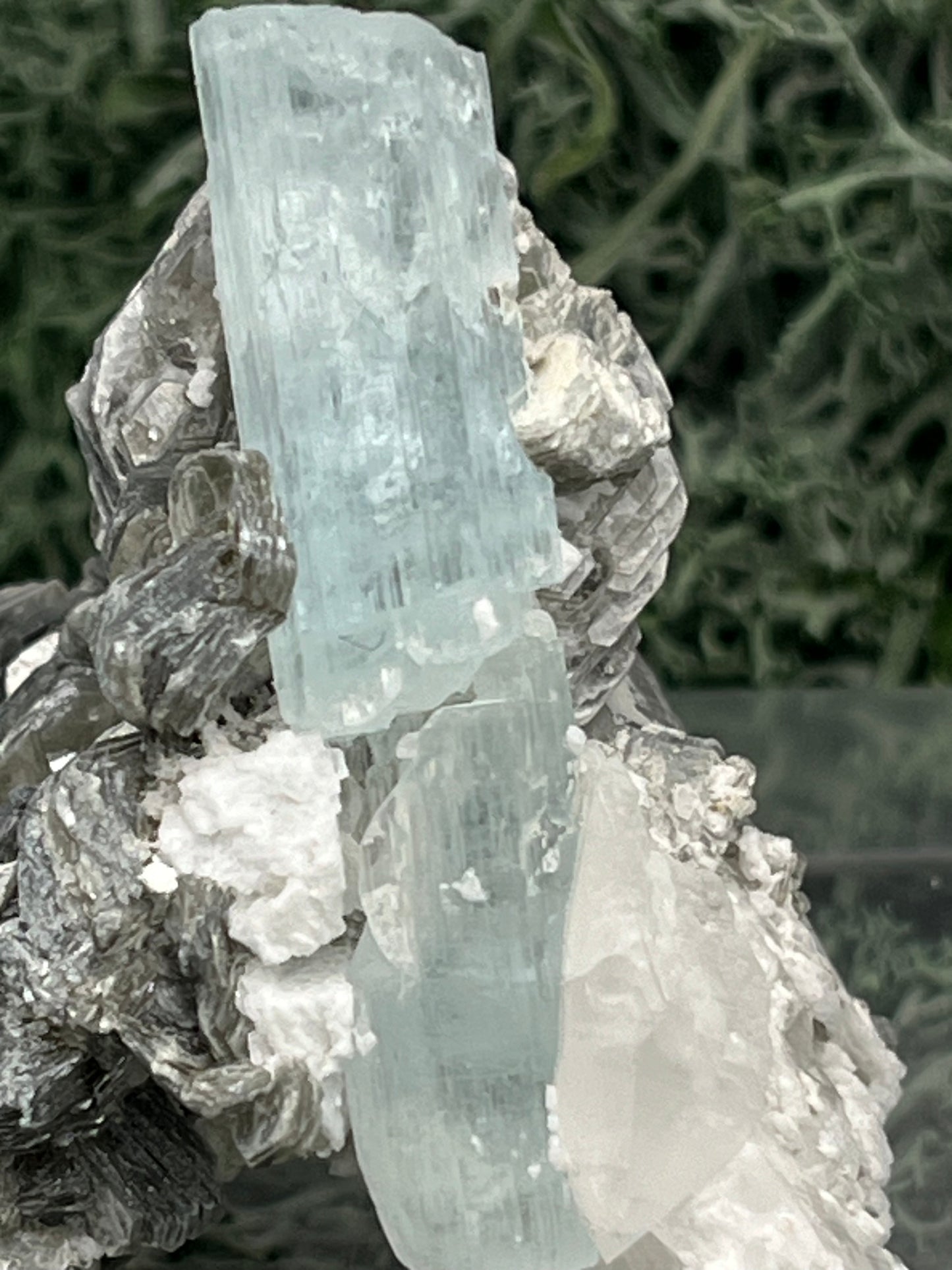 Aquamarin Kristall auf Feldspat aus Pakistan (41g) - crystal paradise