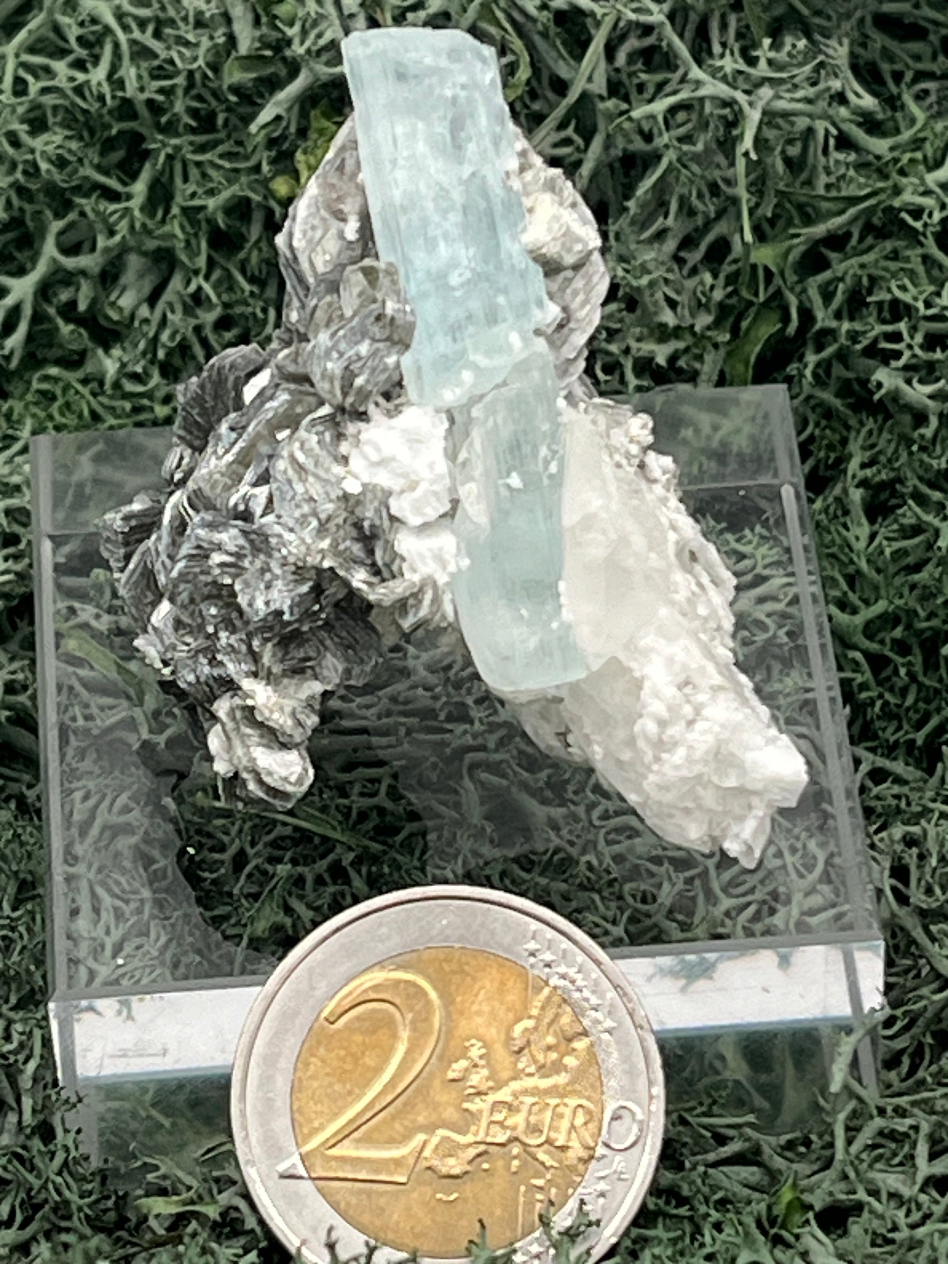 Aquamarin Kristall auf Feldspat aus Pakistan (41g) - crystal paradise