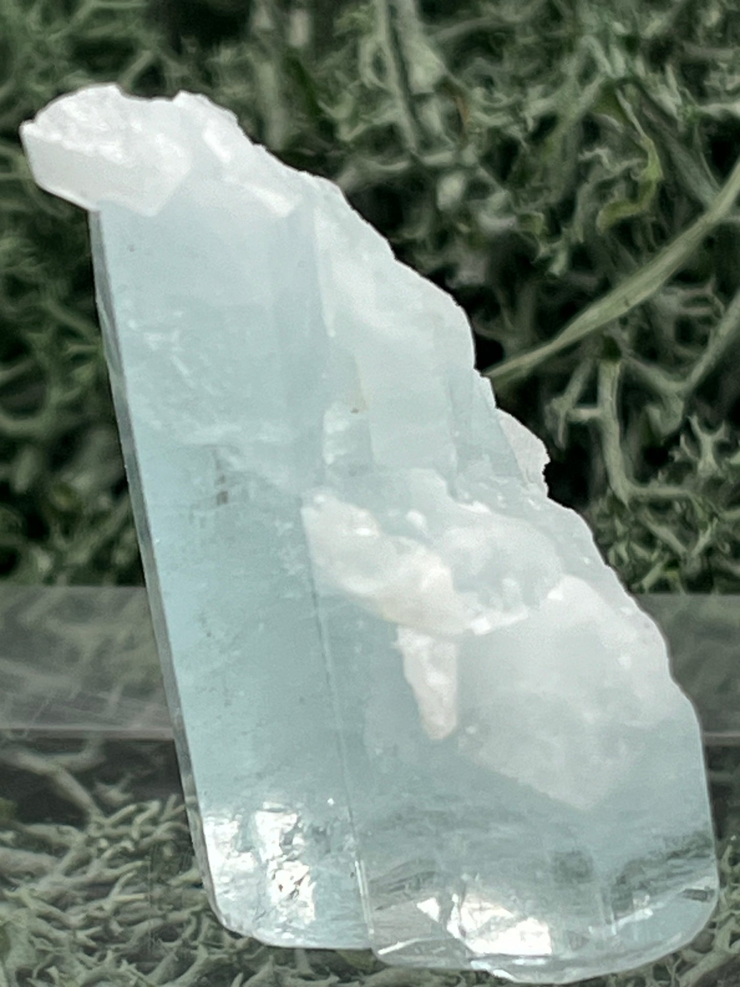 Aquamarin Kristall auf Feldspat aus Pakistan (17g) - crystal paradise