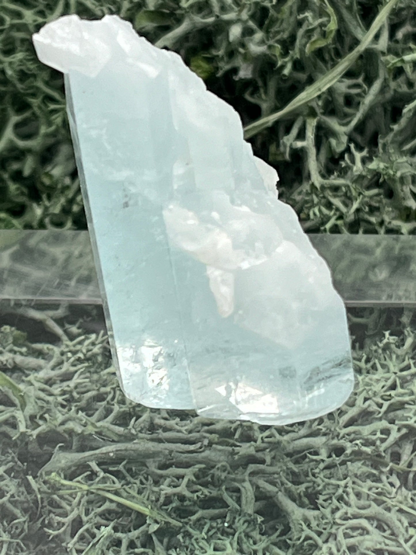 Aquamarin Kristall auf Feldspat aus Pakistan (17g) - crystal paradise