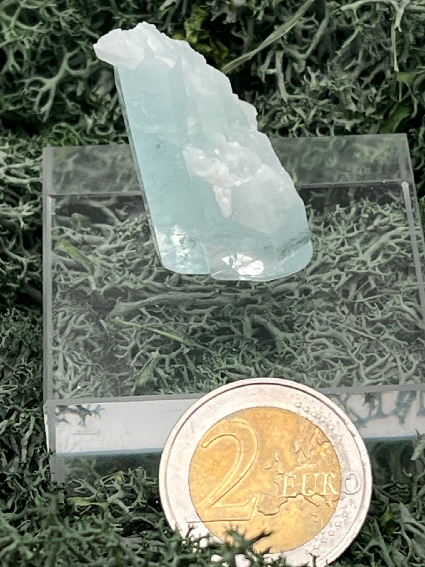 Aquamarin Kristall auf Feldspat aus Pakistan (17g) - crystal paradise