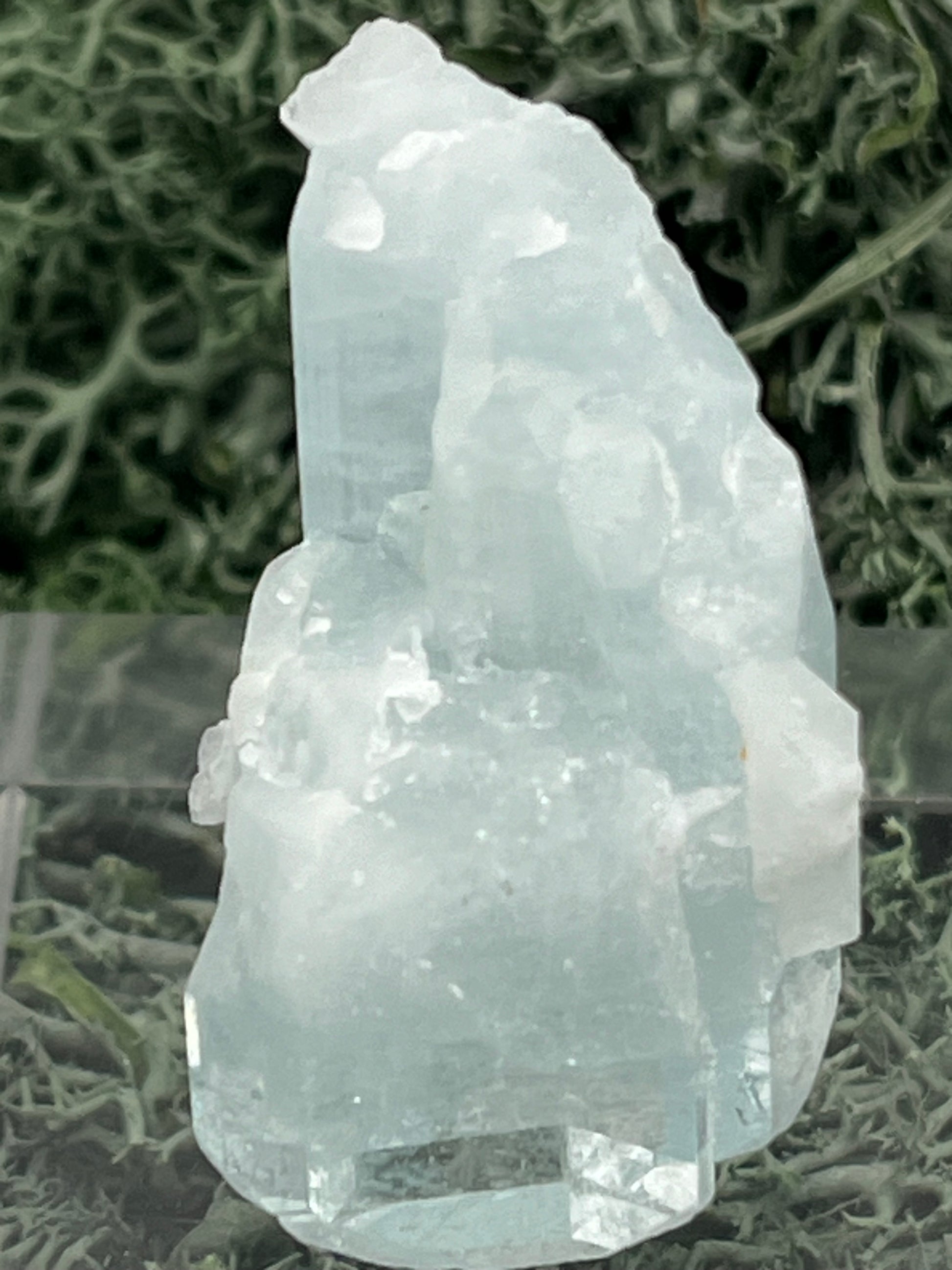 Aquamarin Kristall auf Feldspat aus Pakistan (17g) - crystal paradise