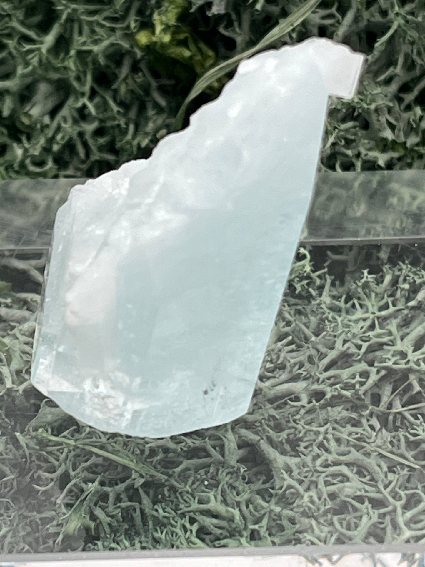 Aquamarin Kristall auf Feldspat aus Pakistan (17g) - crystal paradise