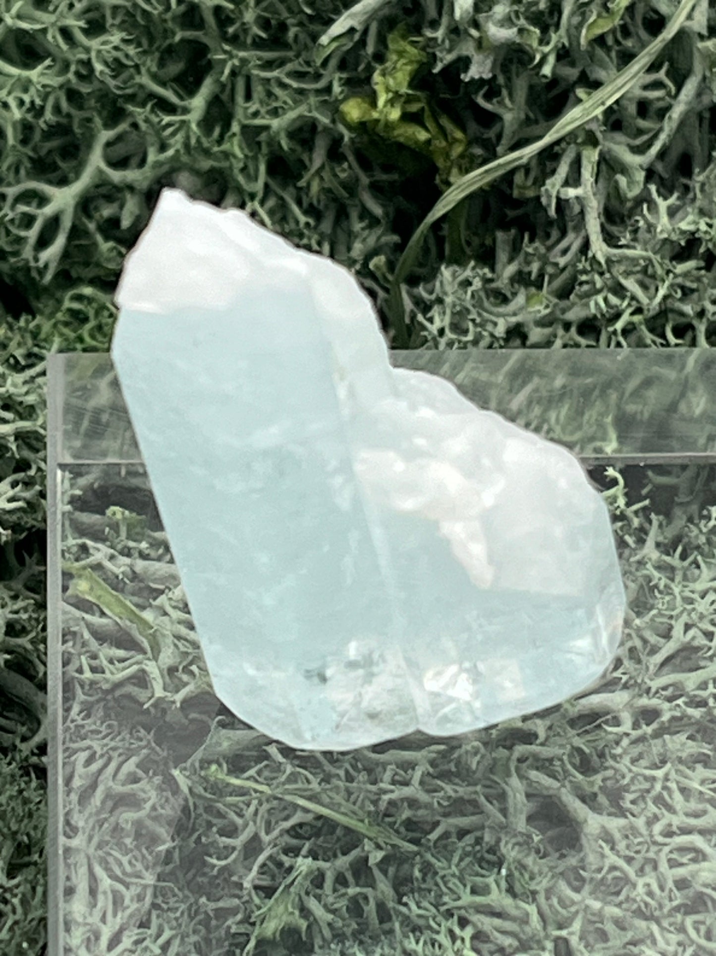 Aquamarin Kristall auf Feldspat aus Pakistan (17g) - crystal paradise