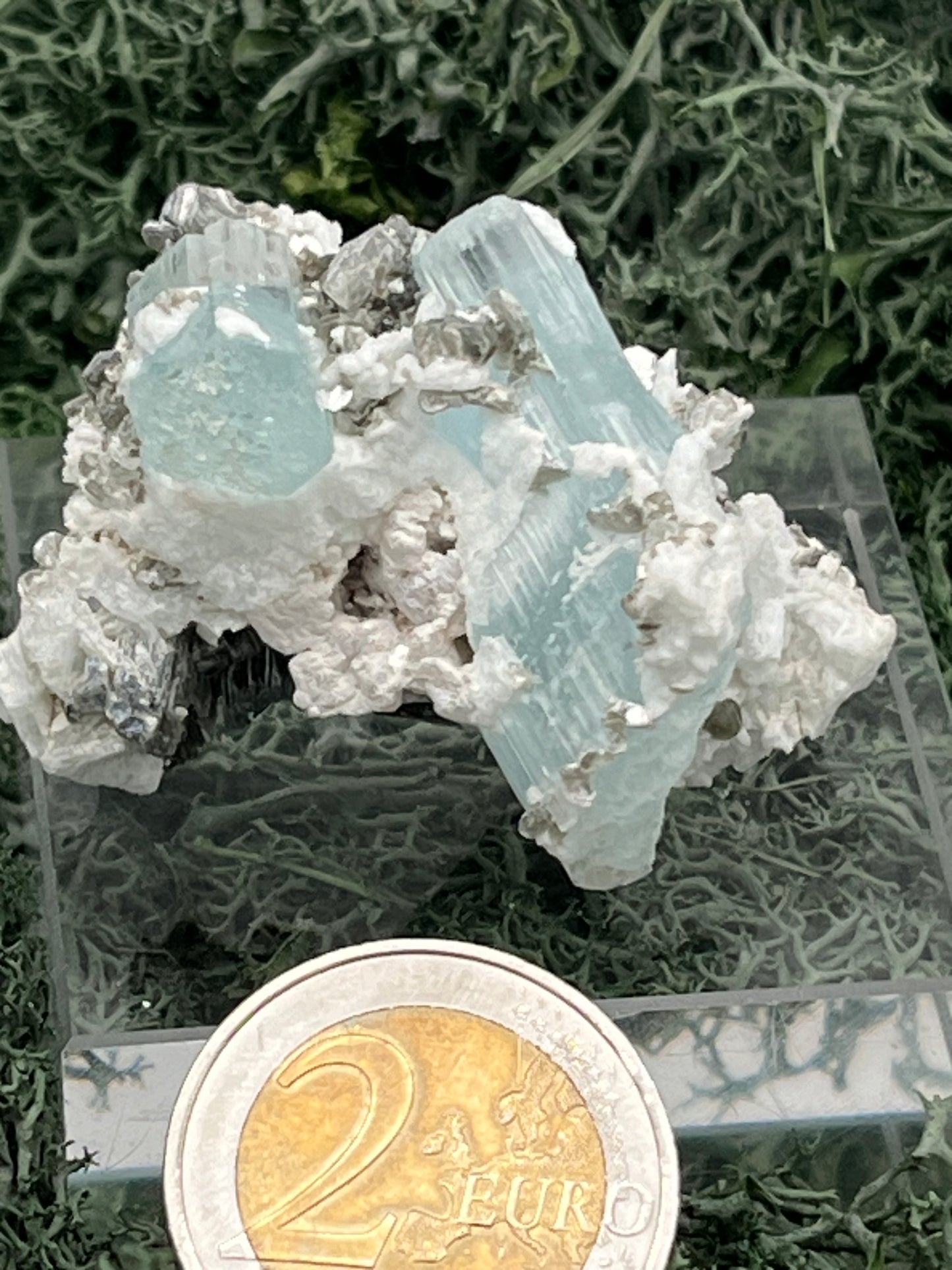 Aquamarin Kristall auf Feldspat aus Pakistan (38g) - crystal paradise