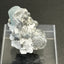 Aquamarin Kristall auf Feldspat aus Pakistan (40g) - crystal paradise